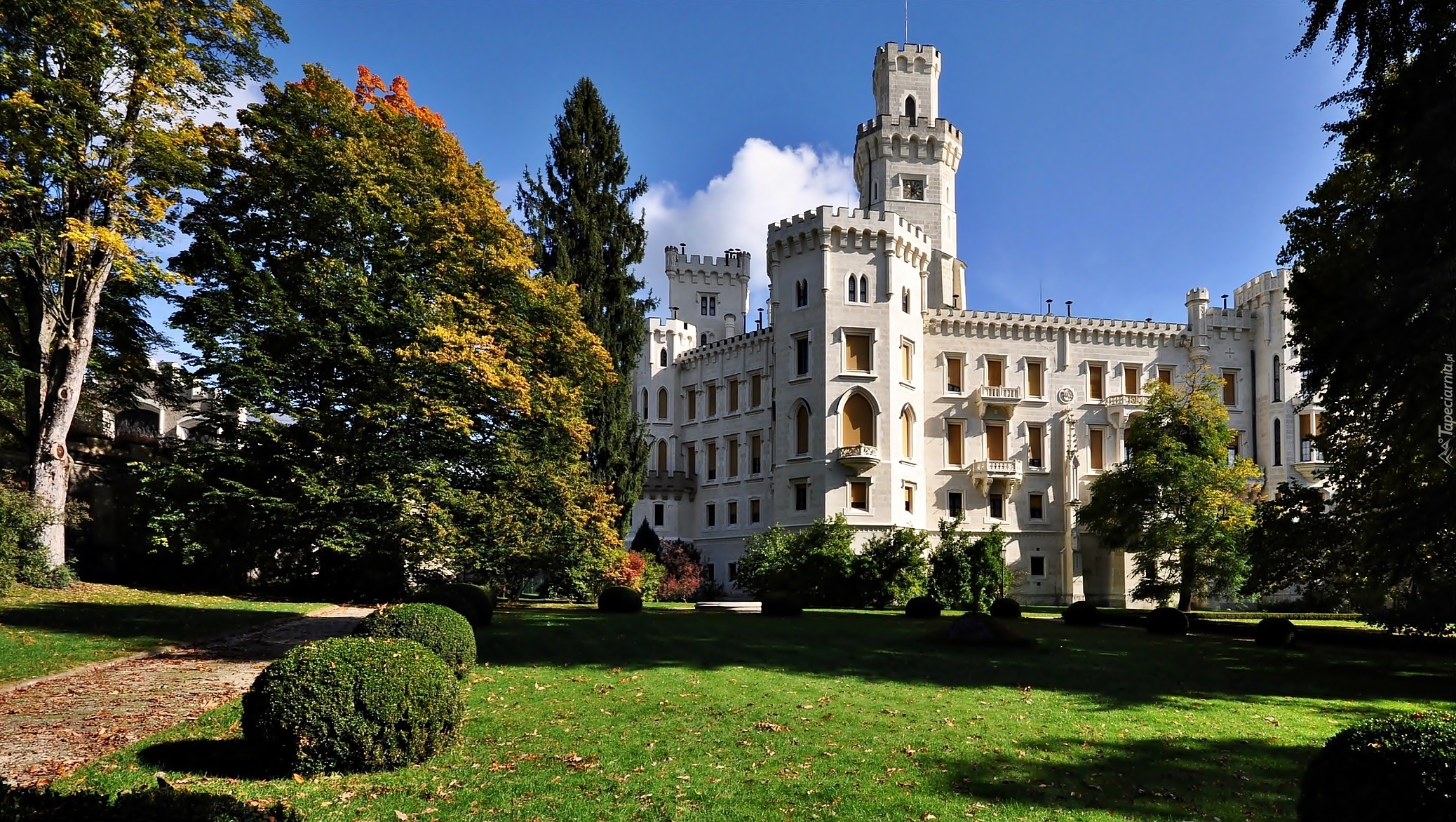 Zamek Hluboka, Miasto Hluboka, Czechy, Park, Drzewa