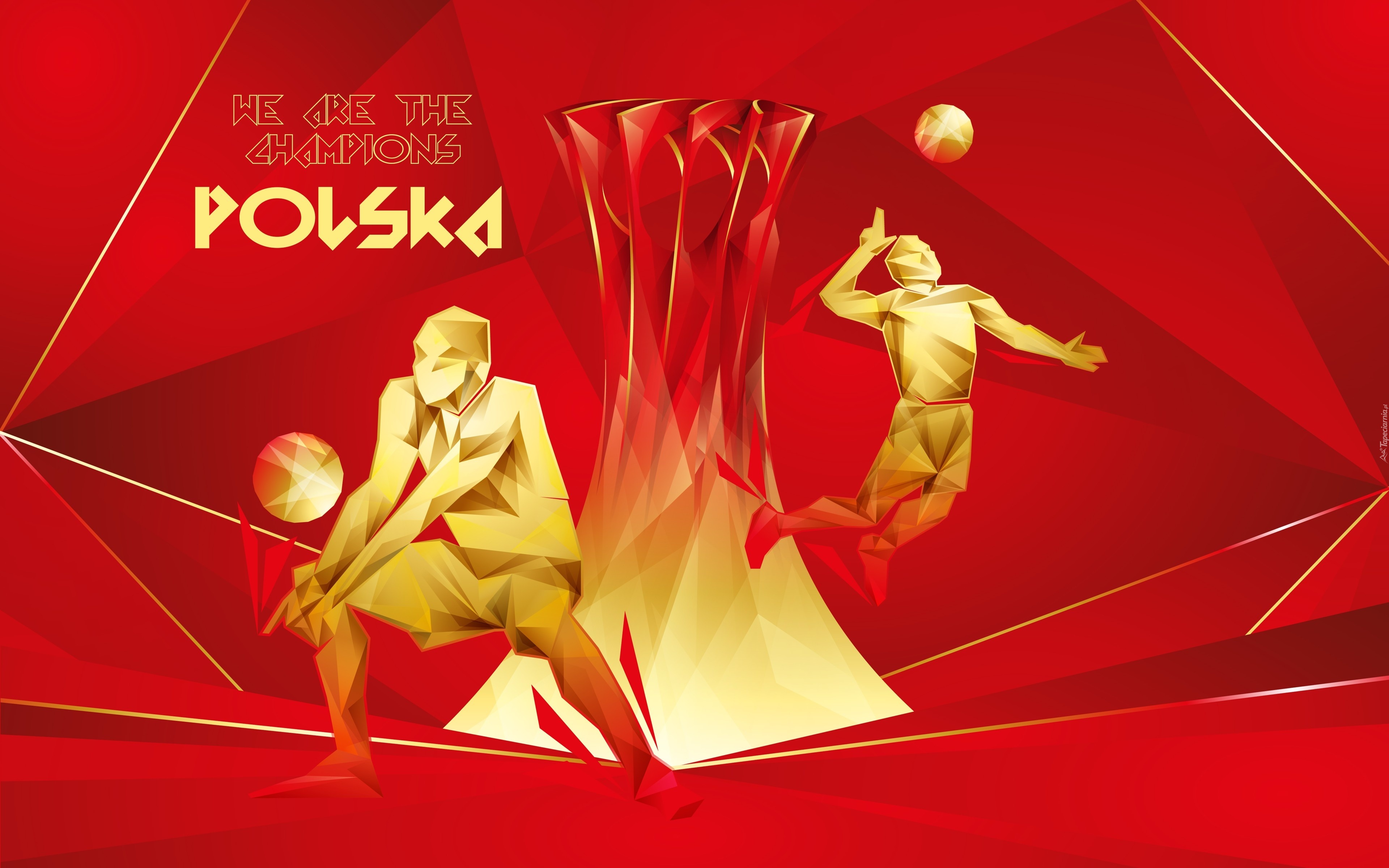 Polska, We are the champions, FIVB, 2014