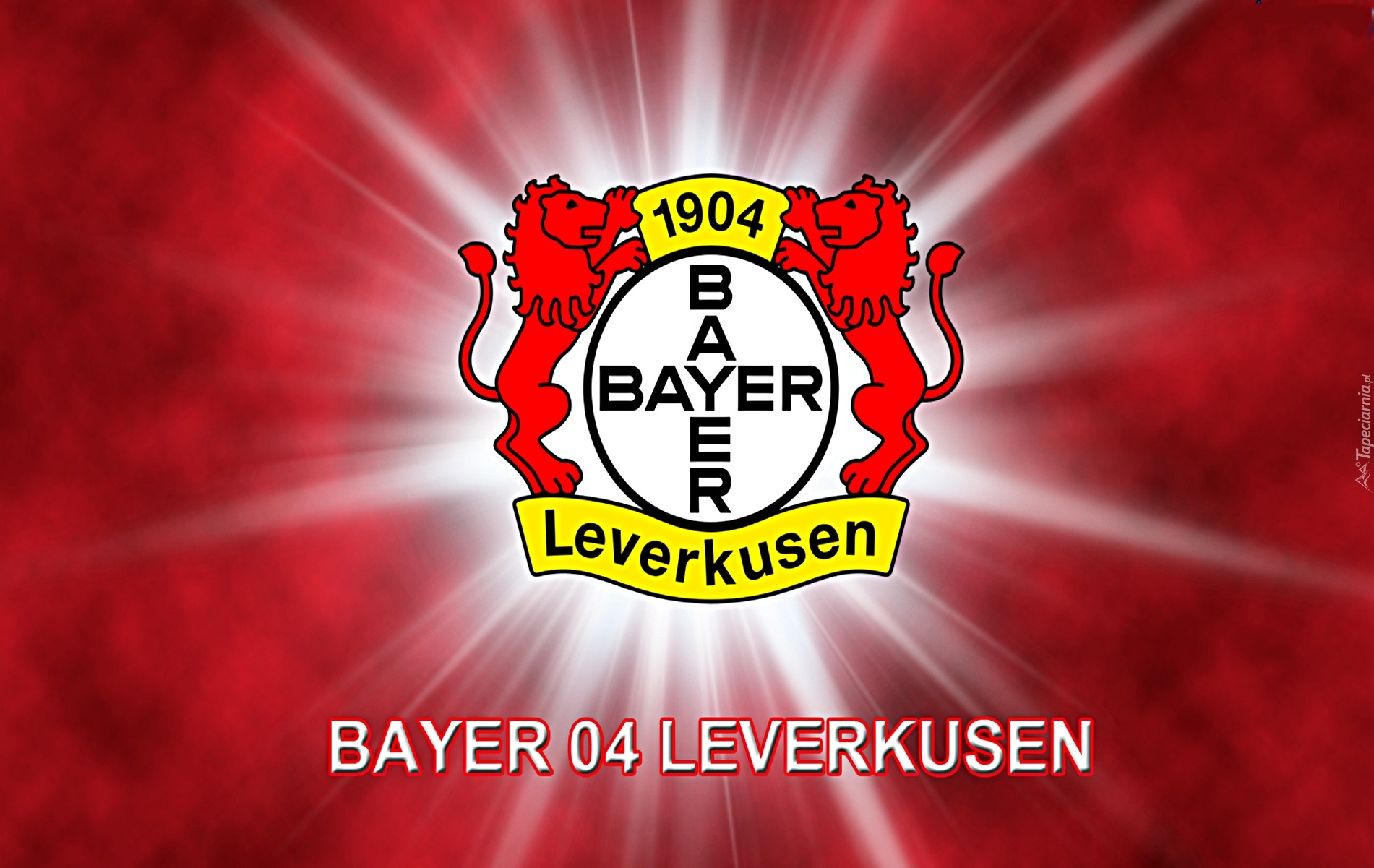 Bayer Leverkusen, piłka nożna, sport