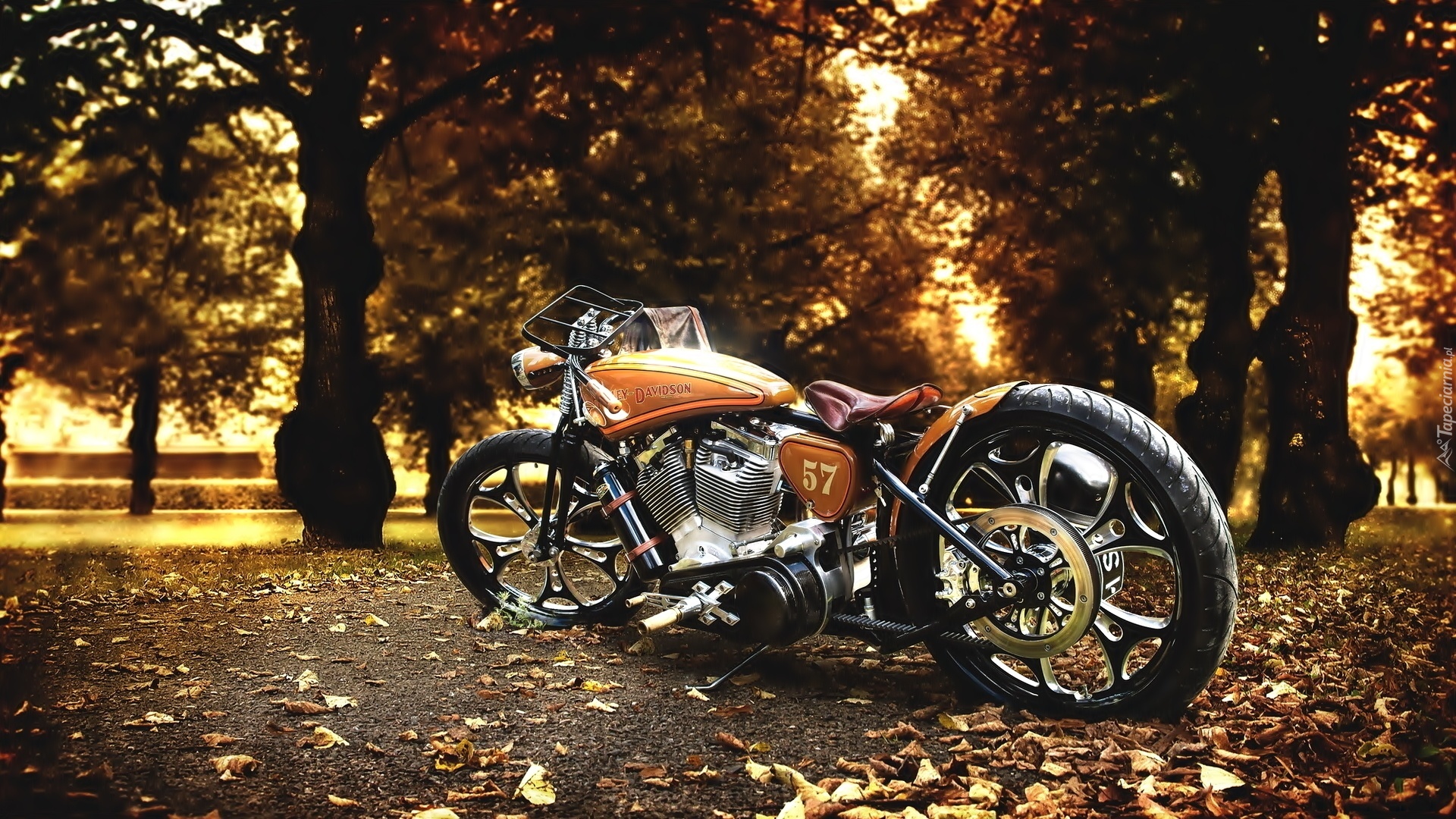 Harley-Davidson