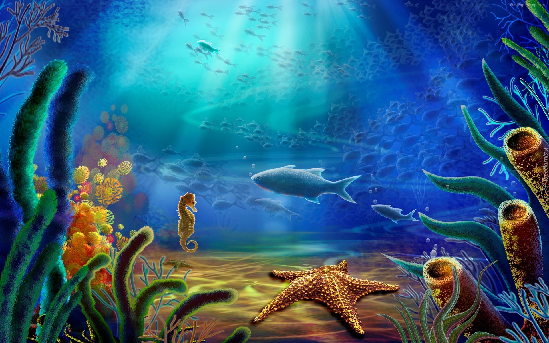 3D, Ryba, Konik morski, Pod wodą