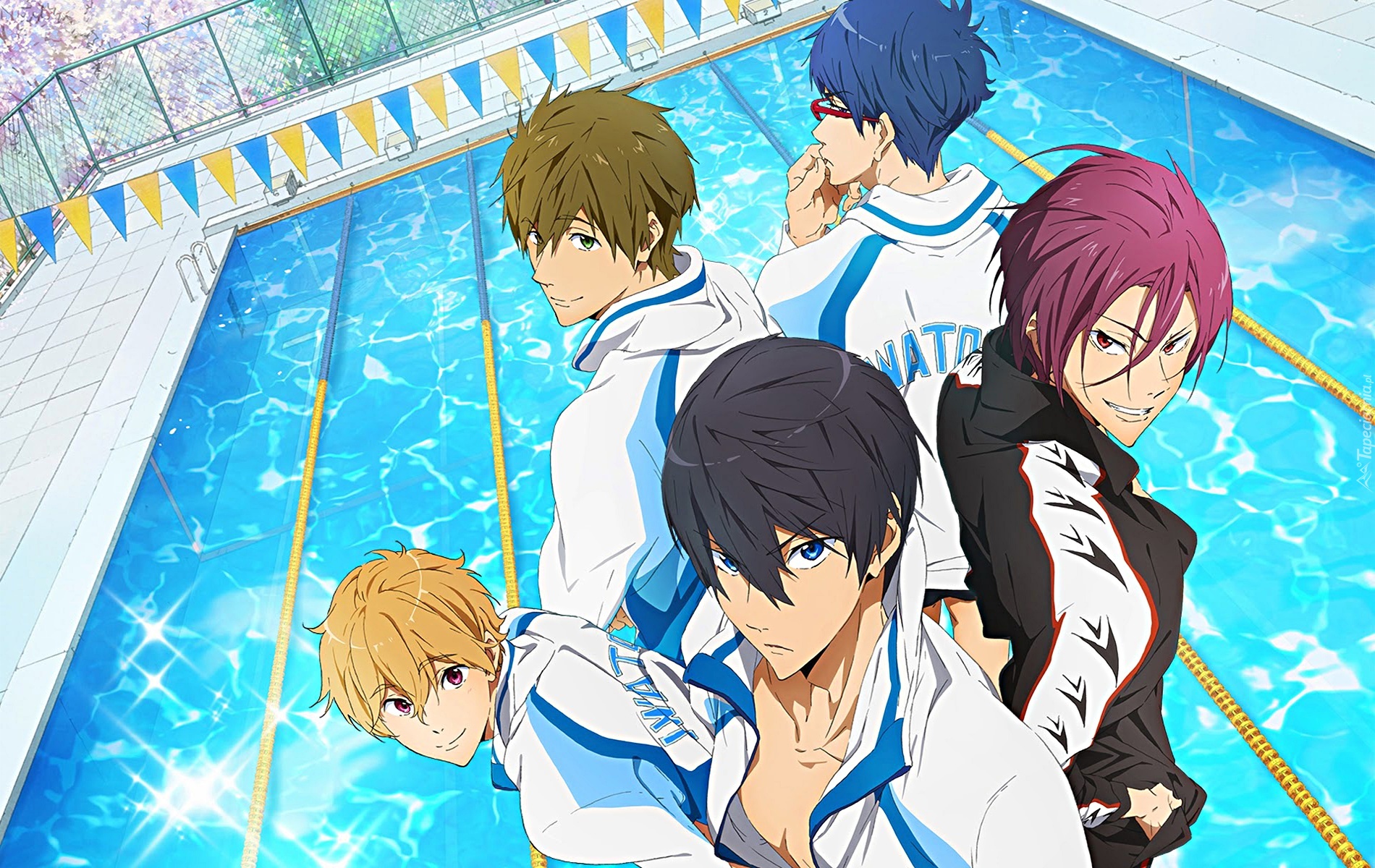 Free!, Iwatobi Swim Club, anime, basen, chłopcy