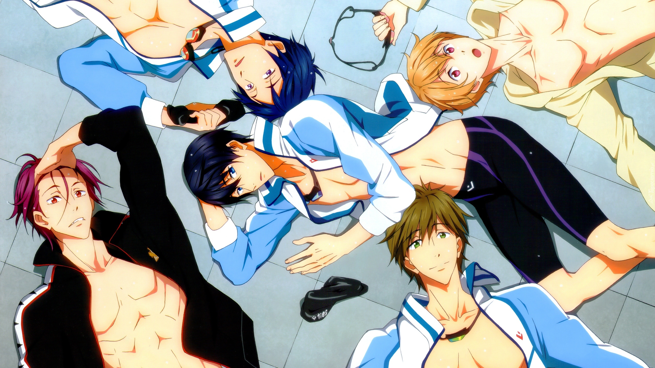 Free! - Iwatobi Swim Club, anime, torsy, chłopcy