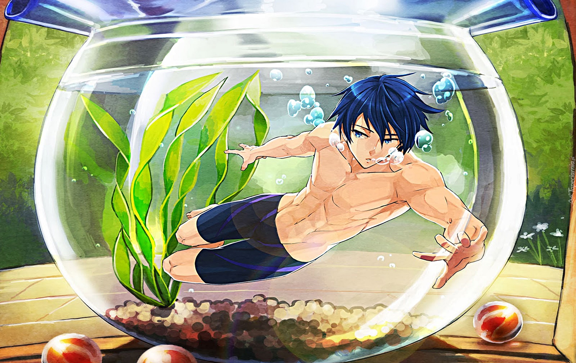 Free! - Iwatobi Swim Club, Nanase Haruka, anime, akwarium