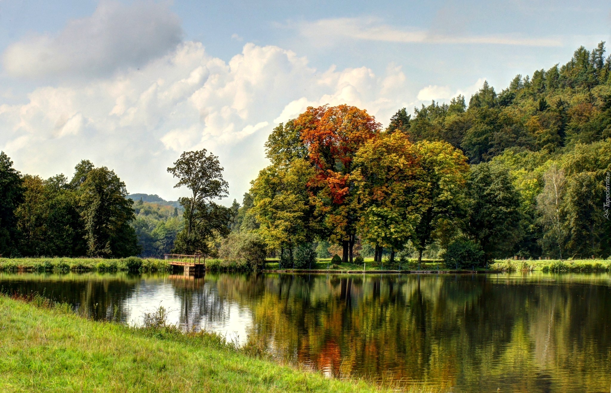 Jezioro, Pomost, Lasy, Jesień