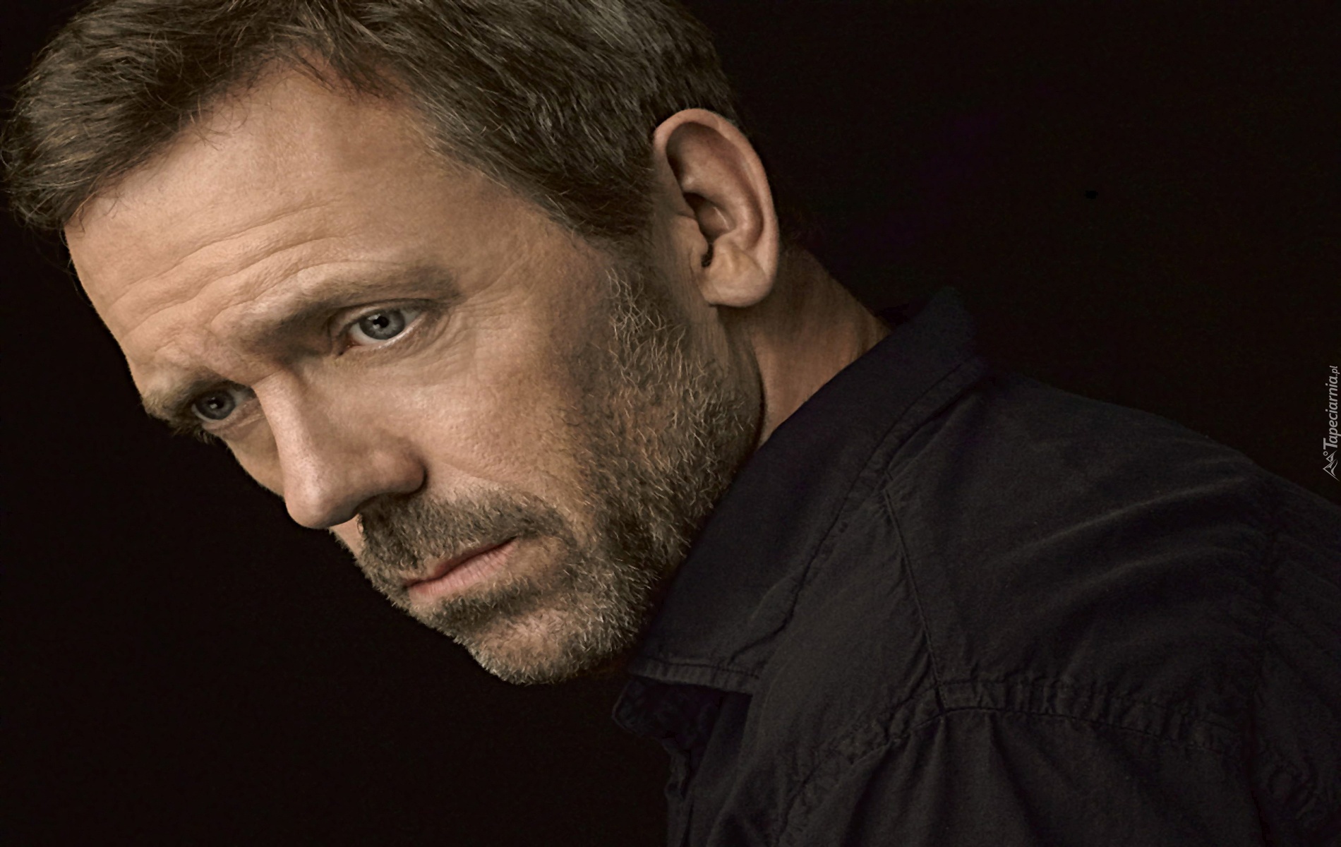 Hugh Laurie, aktor, mężczyzna