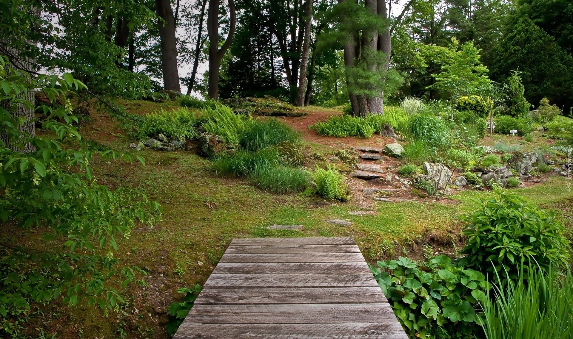 Park, Kładka