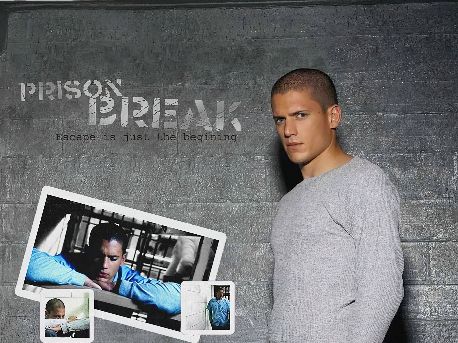 Wentworth Miller, szara bluzka