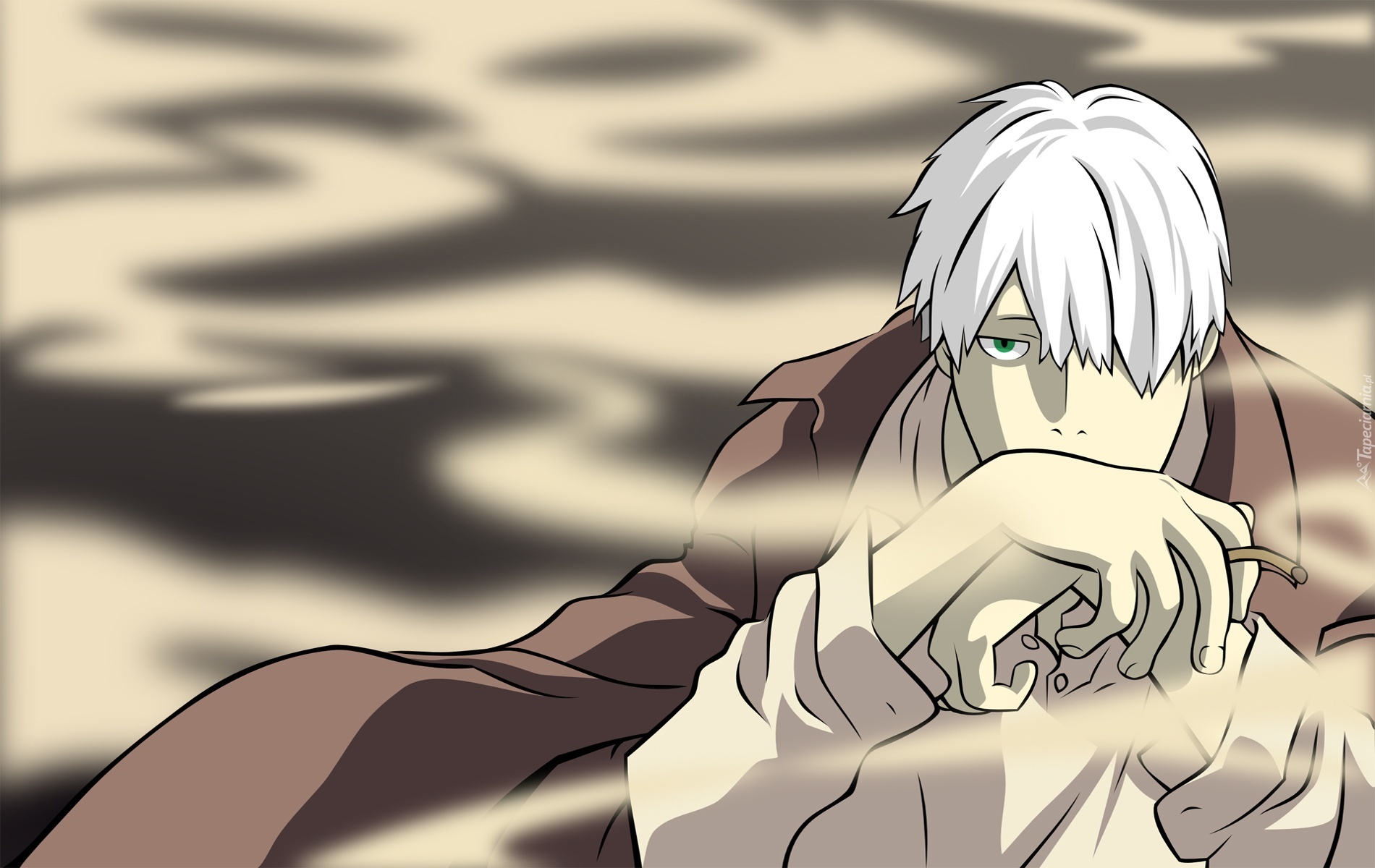 Mushi Shi, Ginko, anime