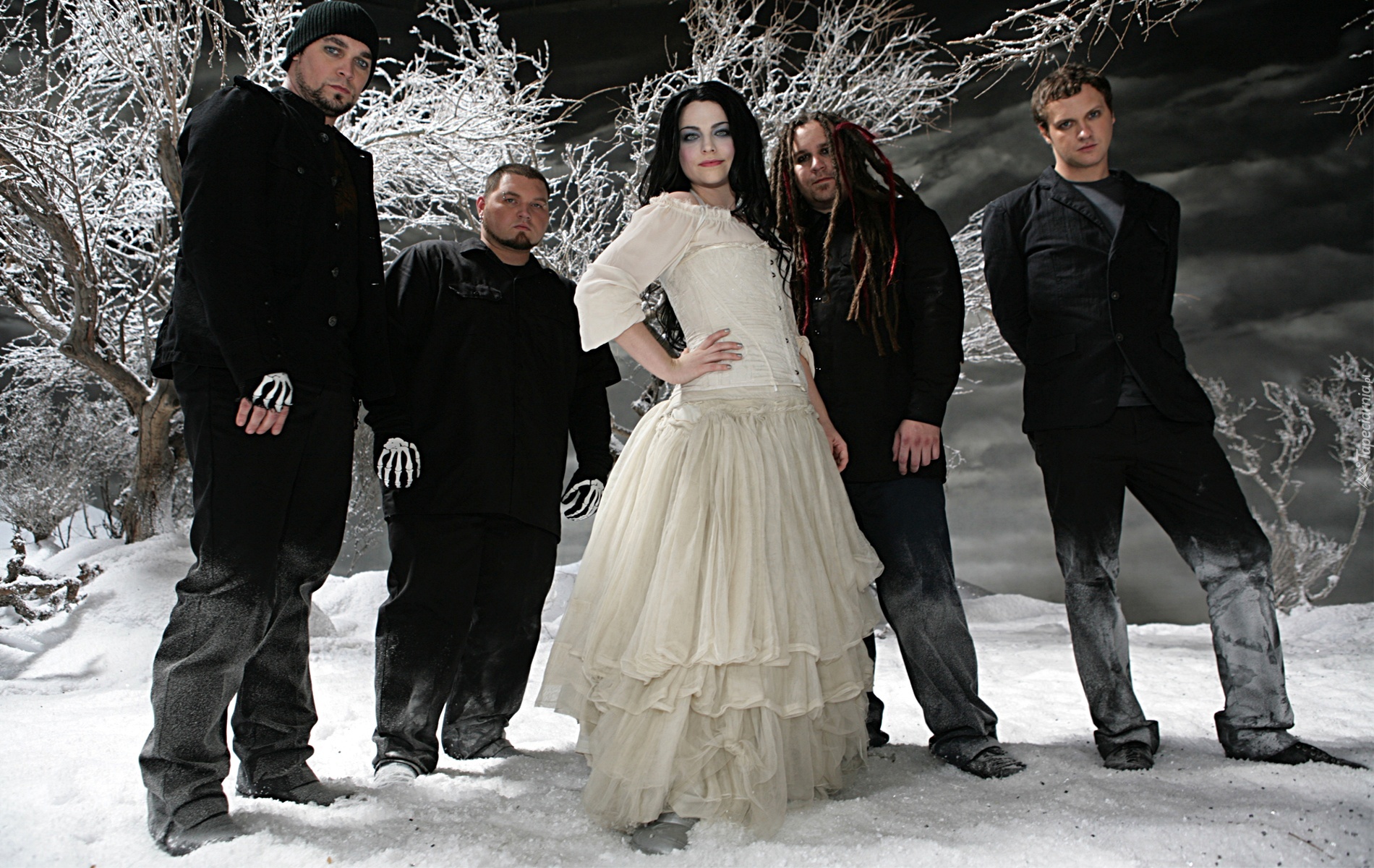Evanescence, muzyka, zespół, rock, suknia, Amy Lee