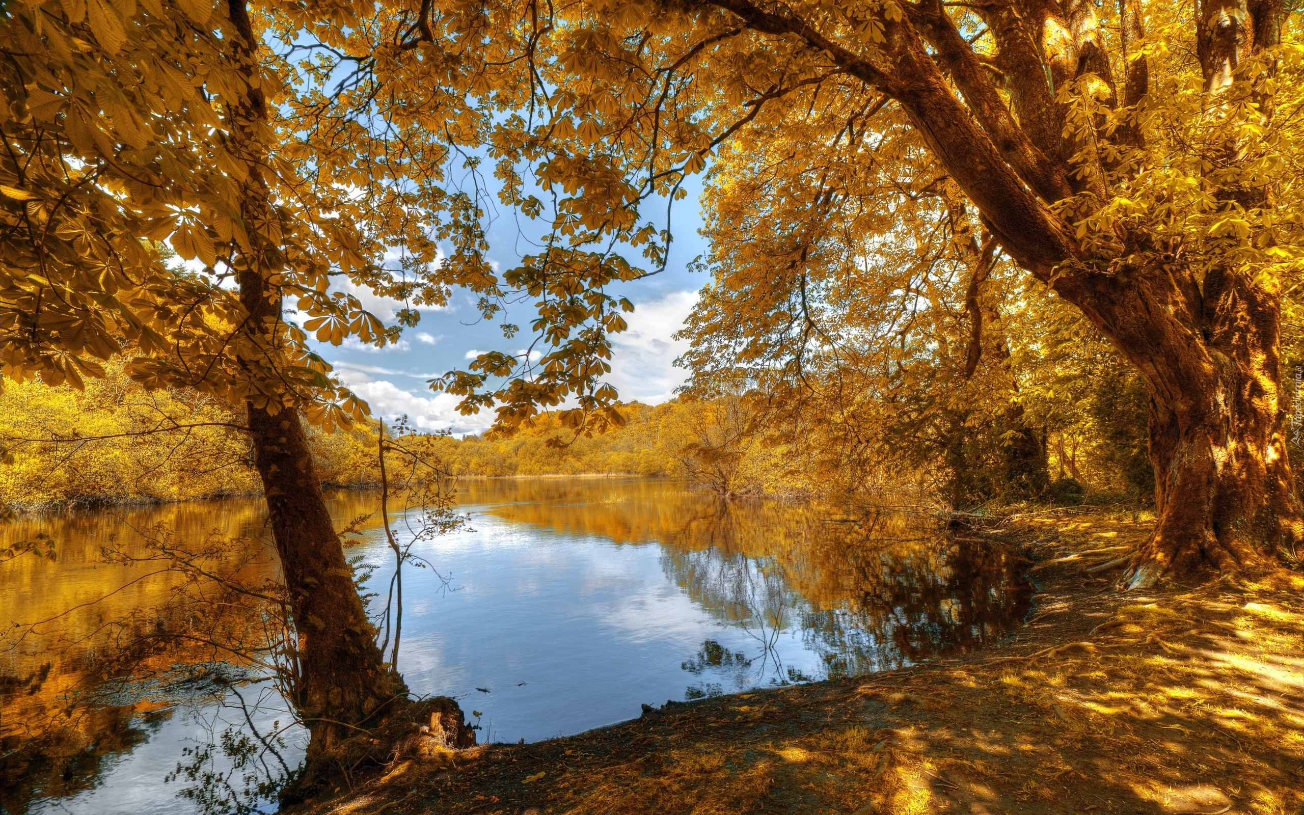 Park, Jeziorko,  Jesień