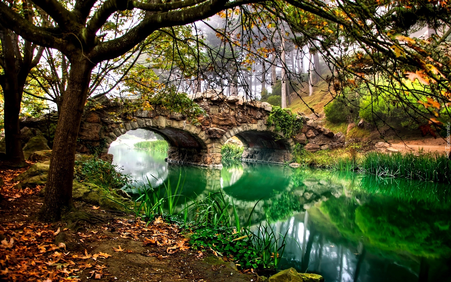 Stany Zjednoczone, San Francisco, Park Golden Gate, Rzeka, Most, Drzewa, Jesień