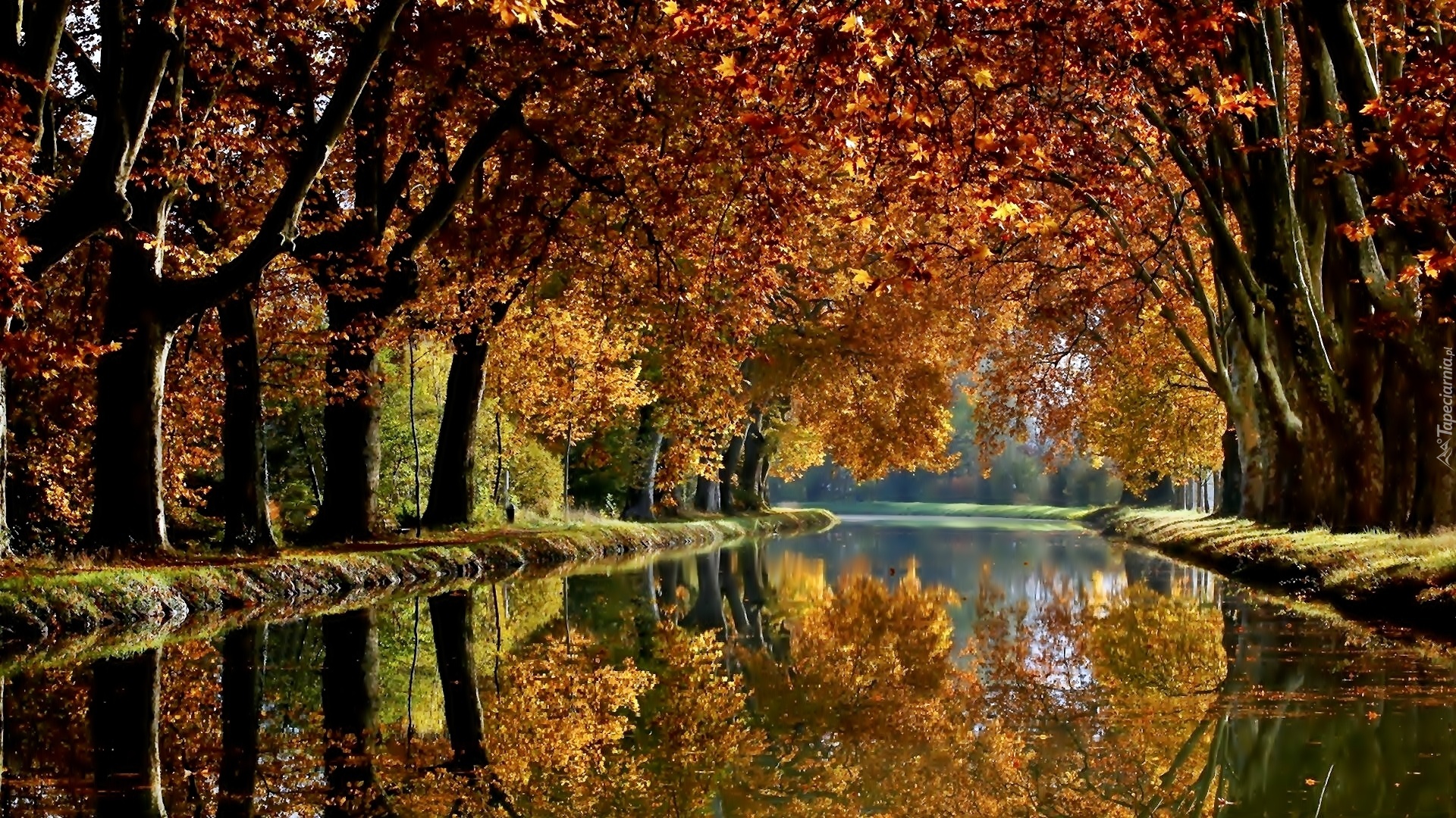 Jesień, Park, Rzeka