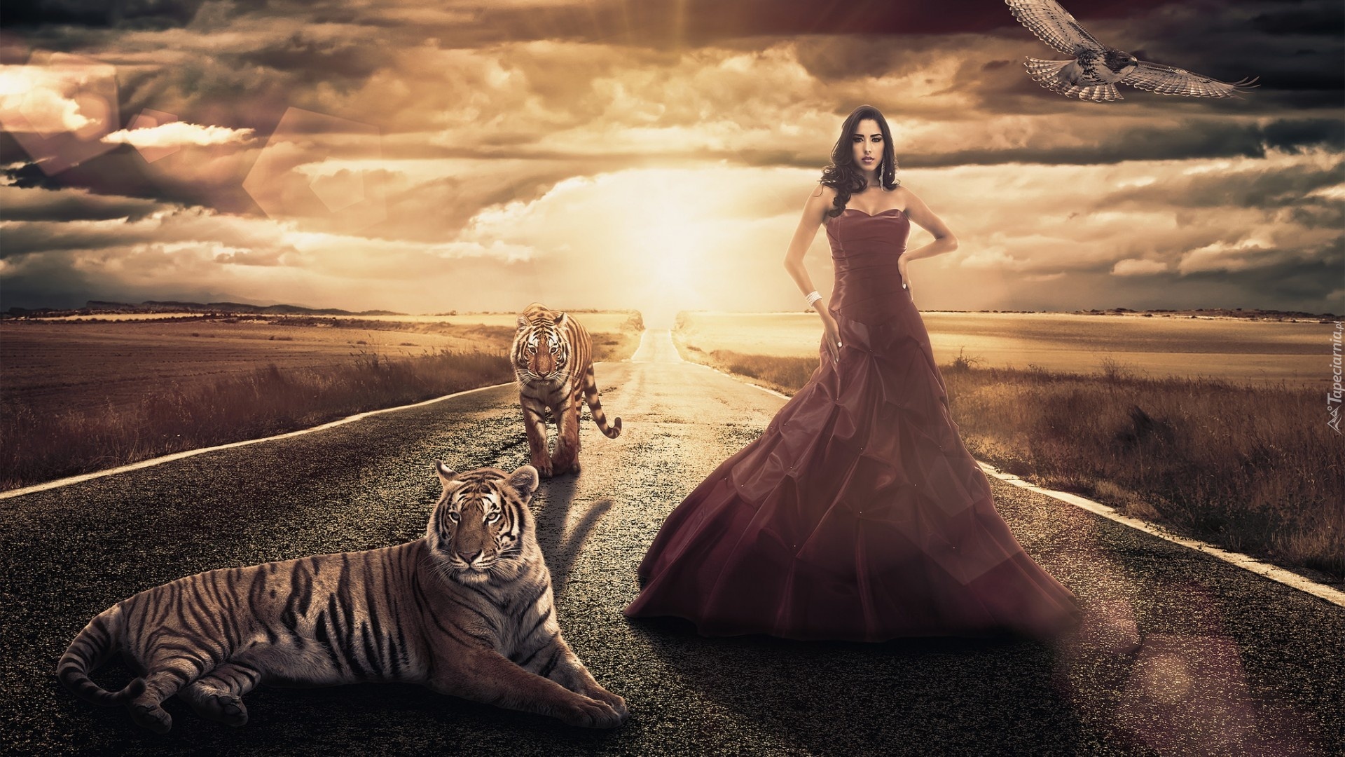 Droga, Kobieta, Suknia, Tygrysy