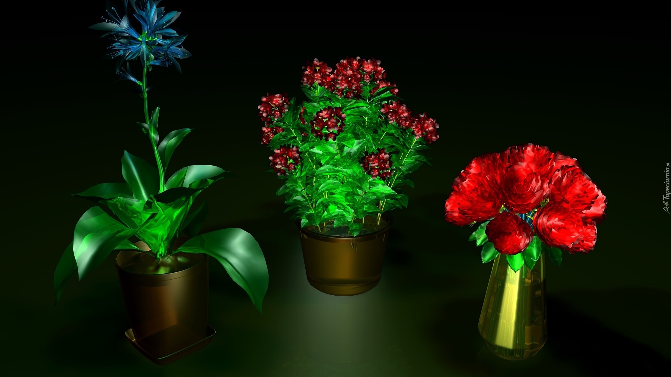 Kolorowe, Kwiaty, Grafika 3D