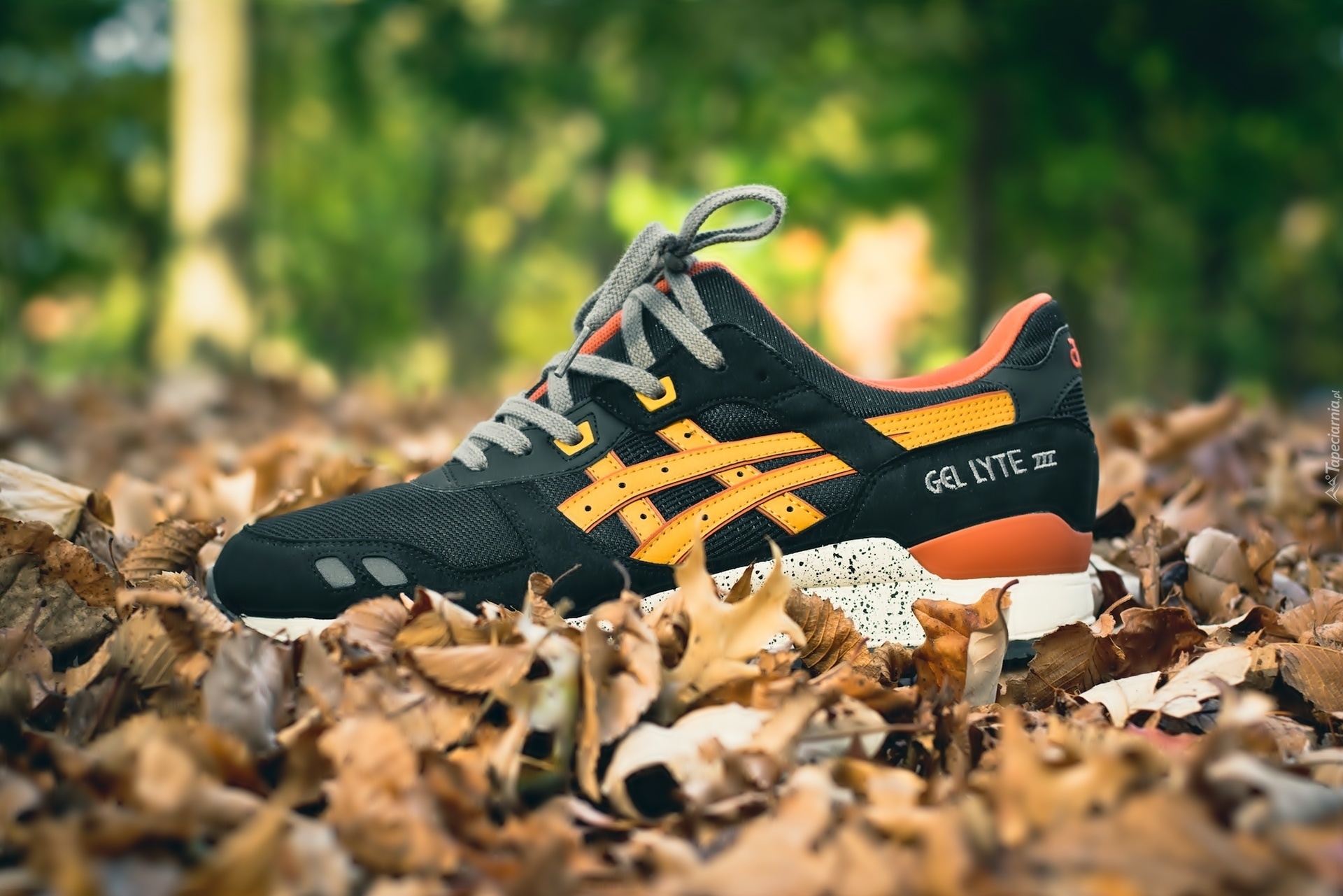 Żółte, Liście, But, Gel Lyte