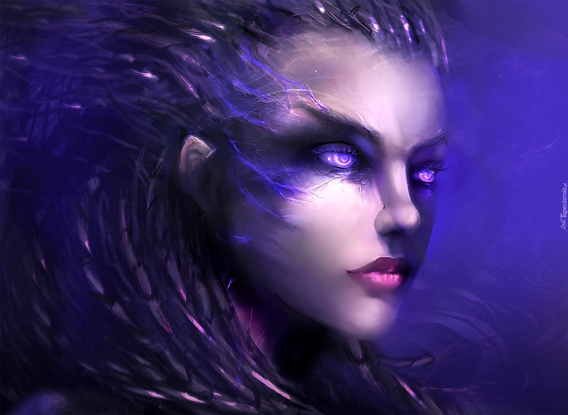 StarCraft2, Sara Kerrigan, Postać