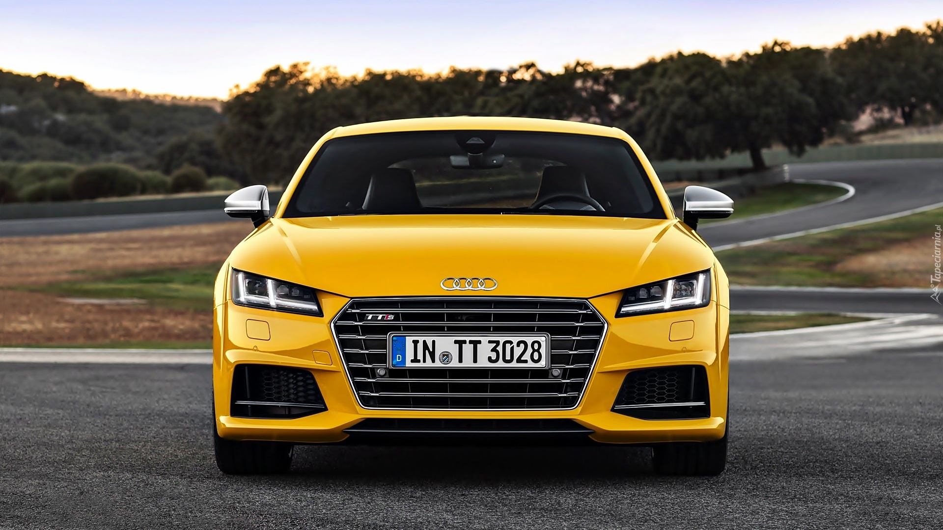 Audi, TT, Żółty