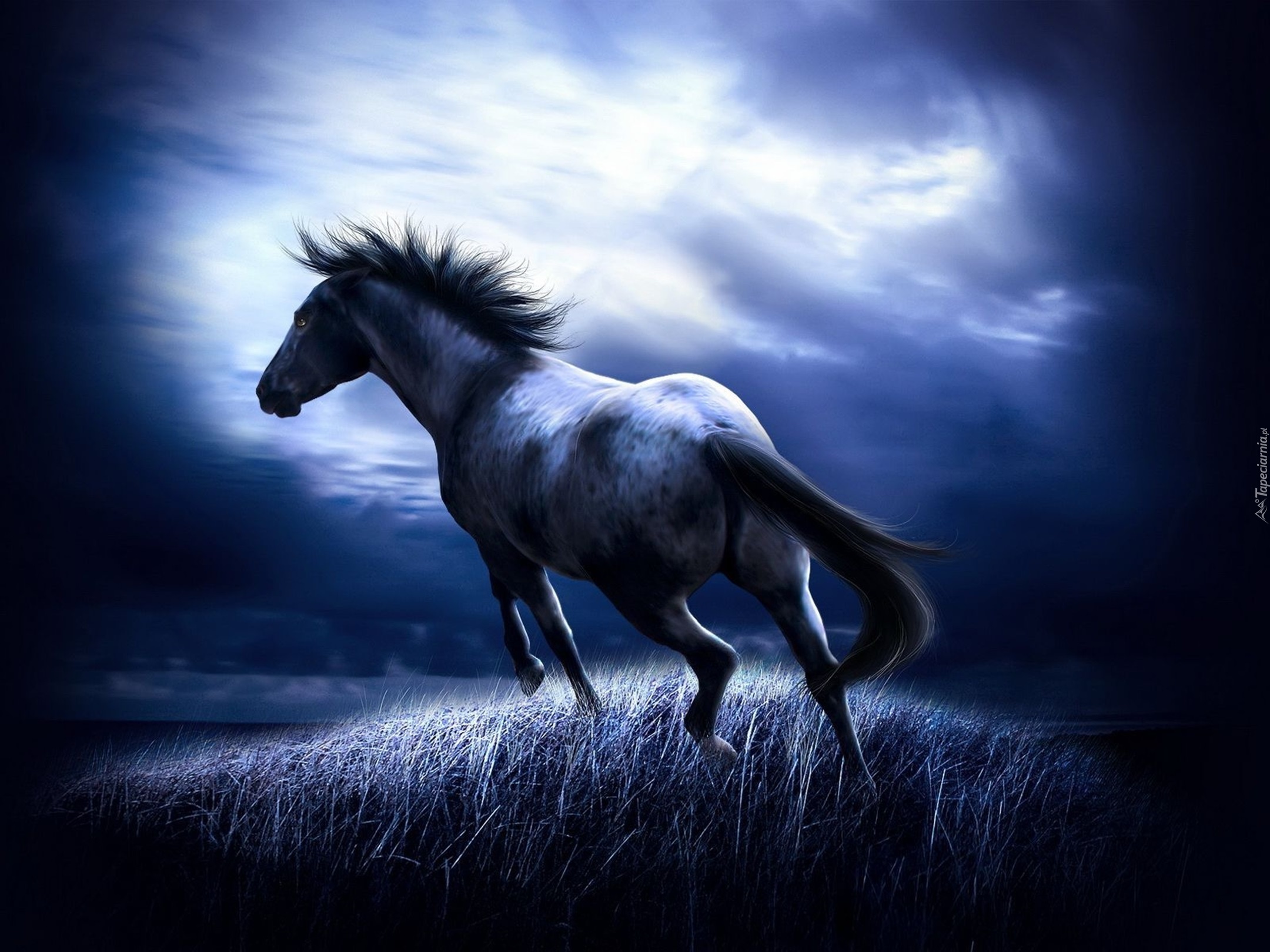 Koń, Fantasy