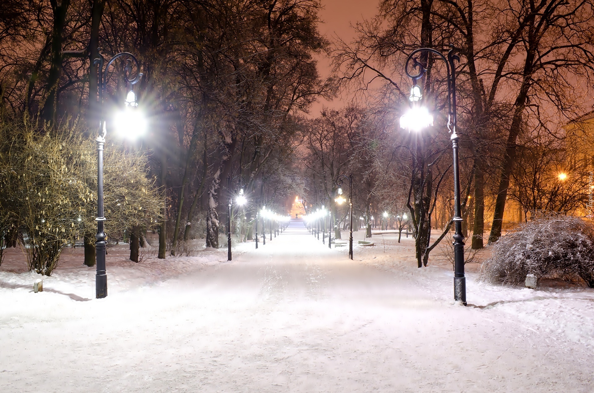 Park, Śnieg, Latarnie