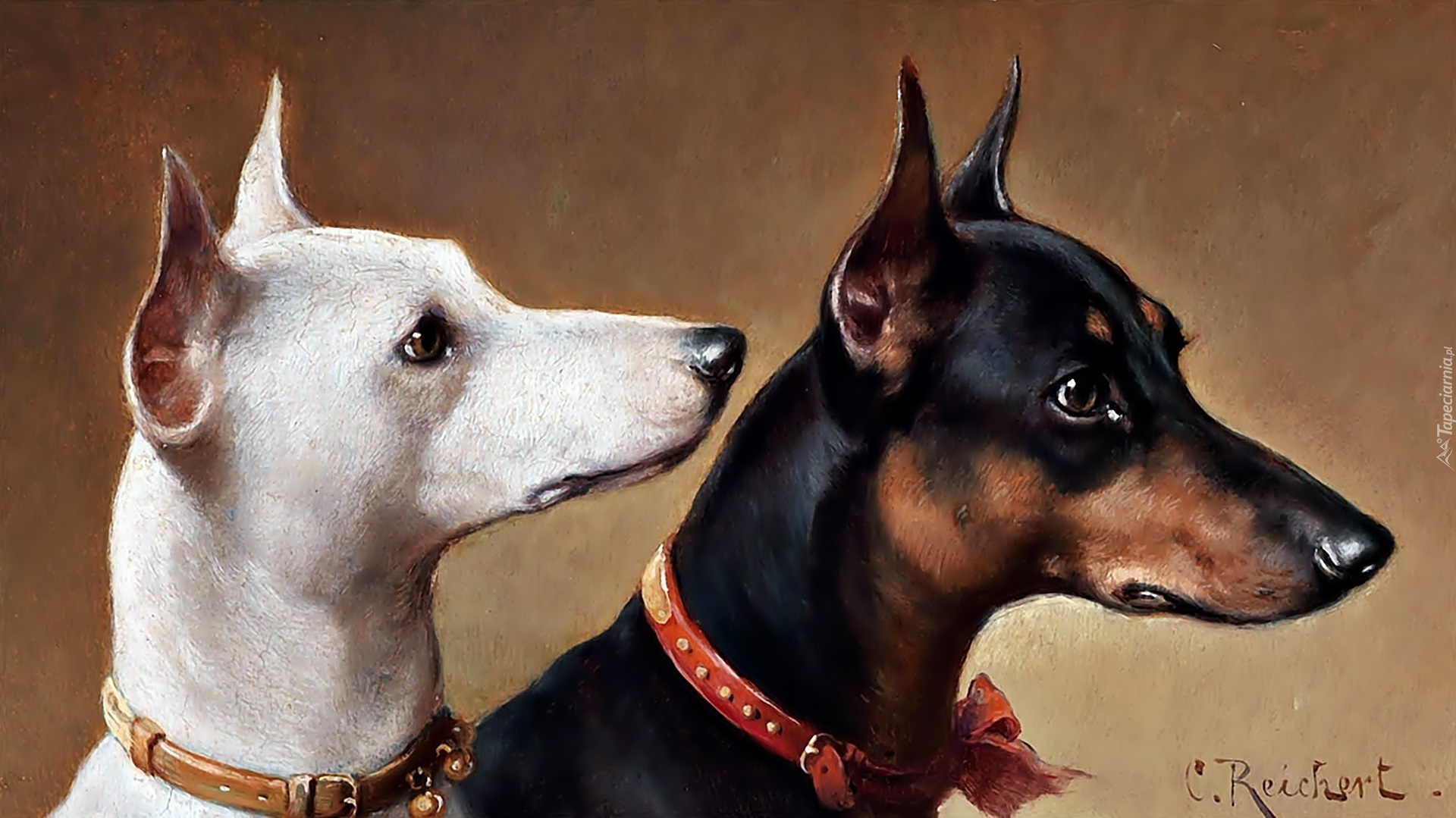 Carl Reichert, Dobermany, Obraz