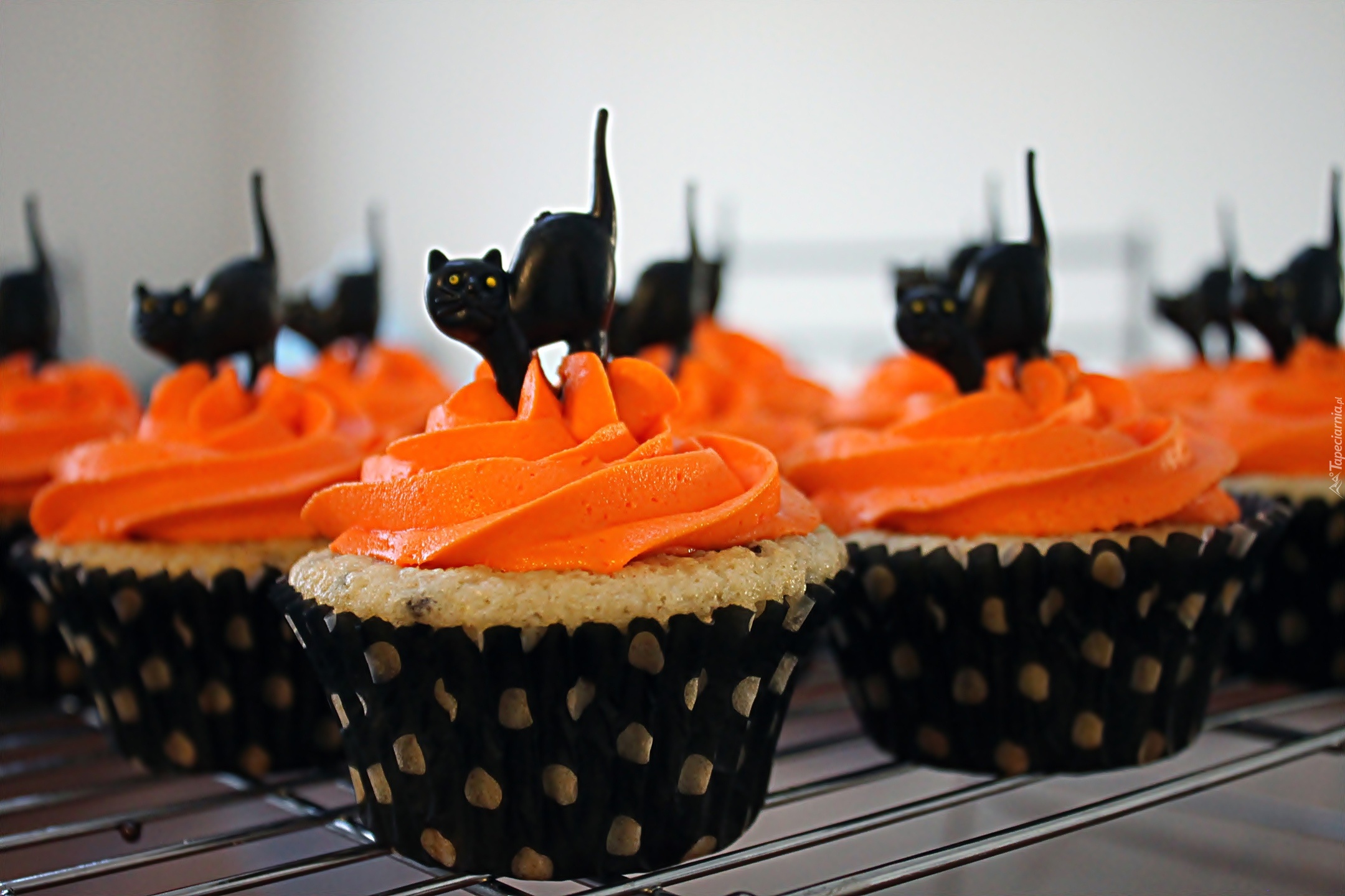 Babeczki, Halloweenowe, Czarne, Koty
