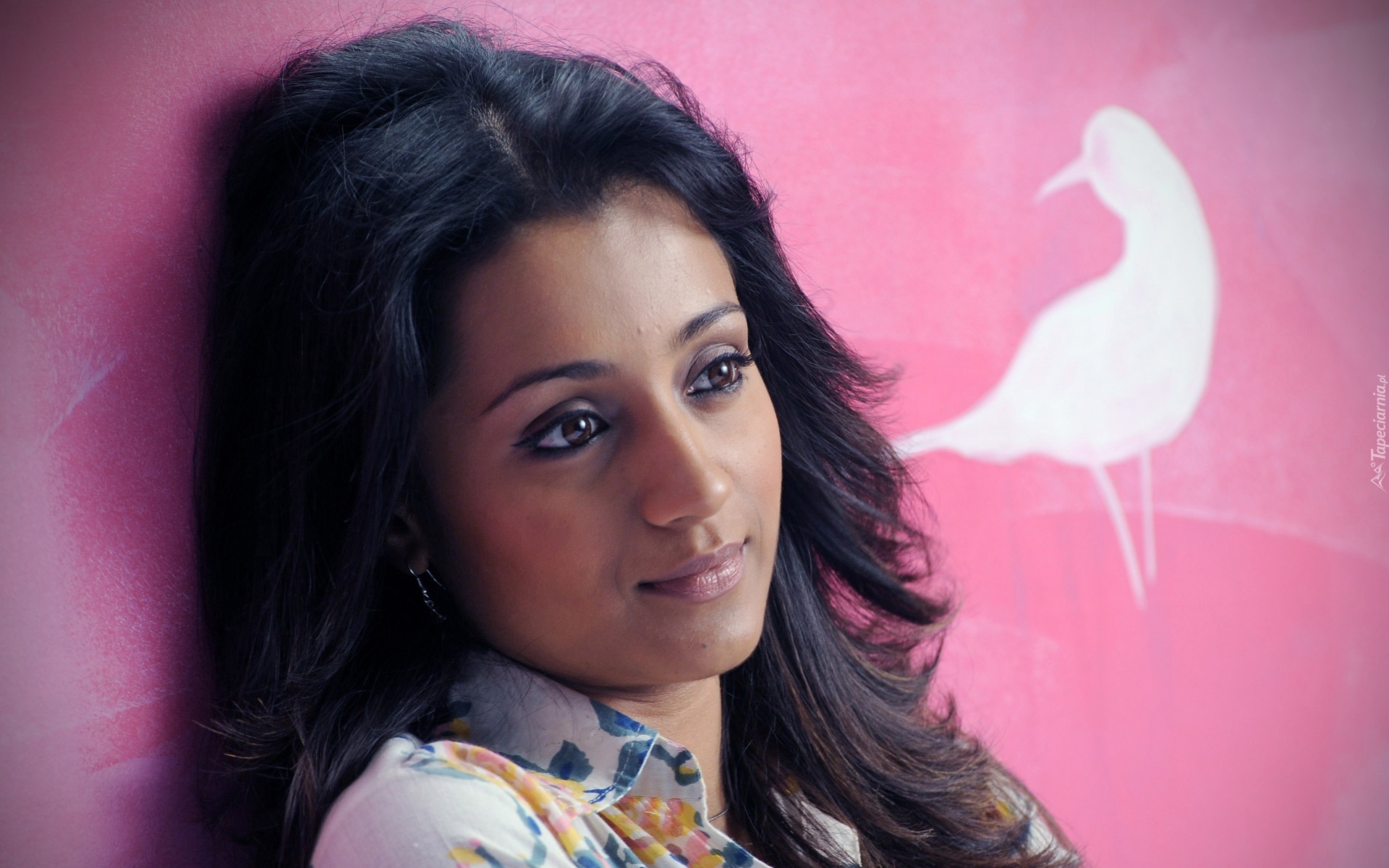 Trisha, Krishnan