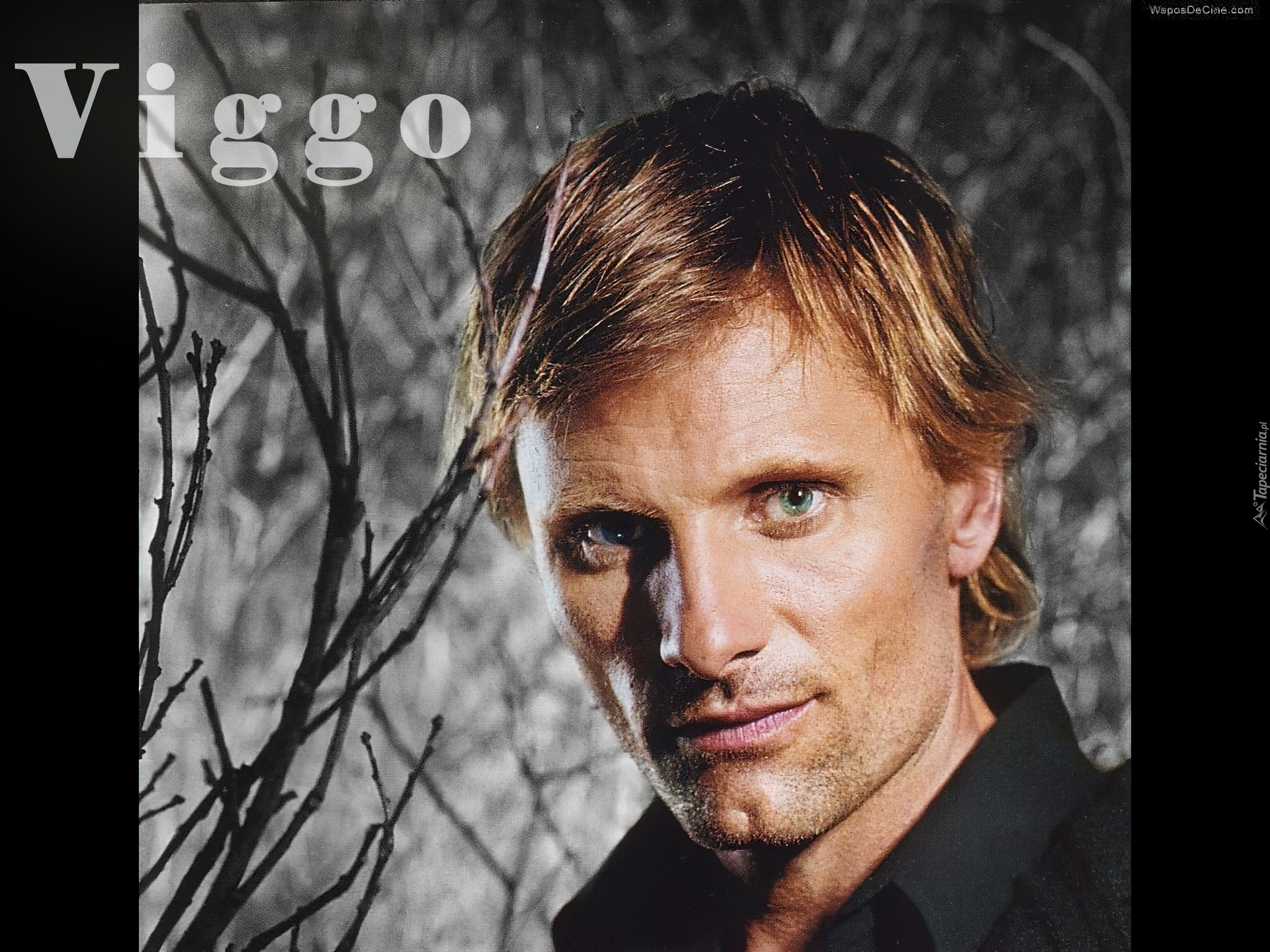 Viggo Mortensen,niebieskie oczy