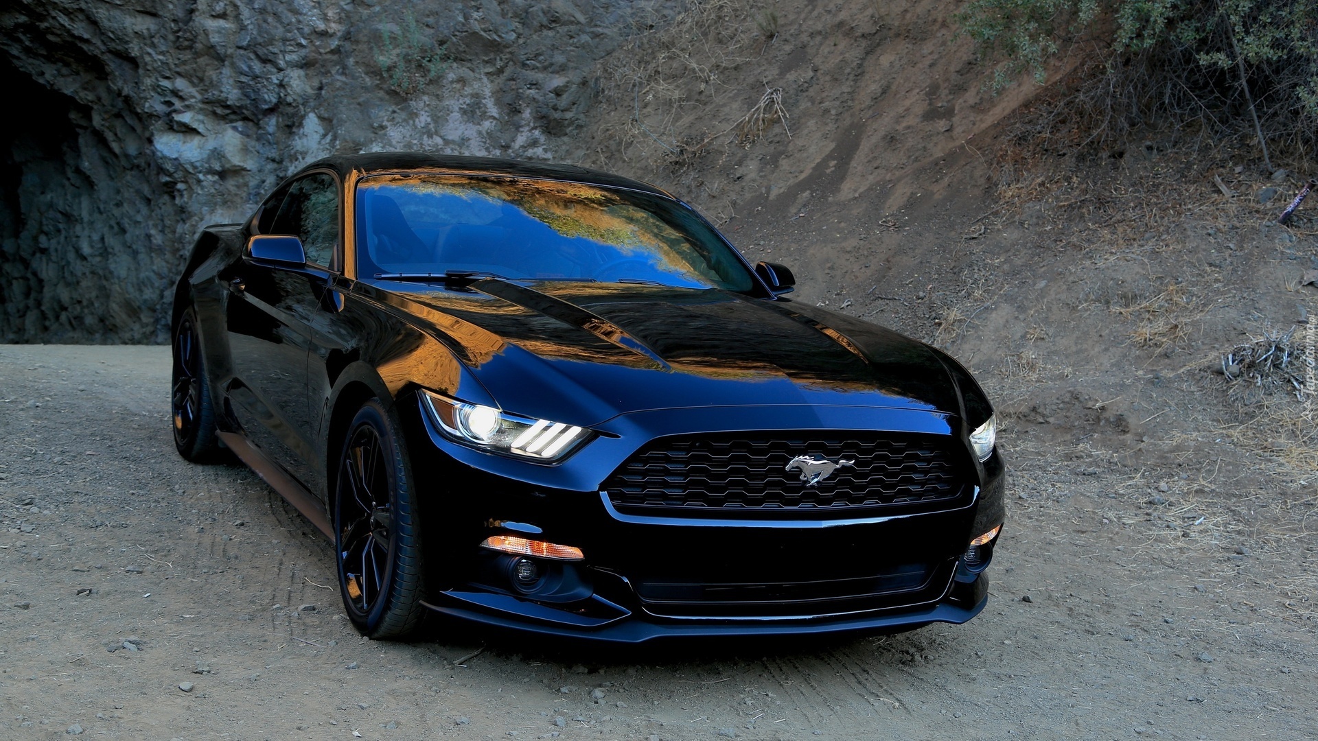 Czarny, Ford, Mustang, GT, 2015