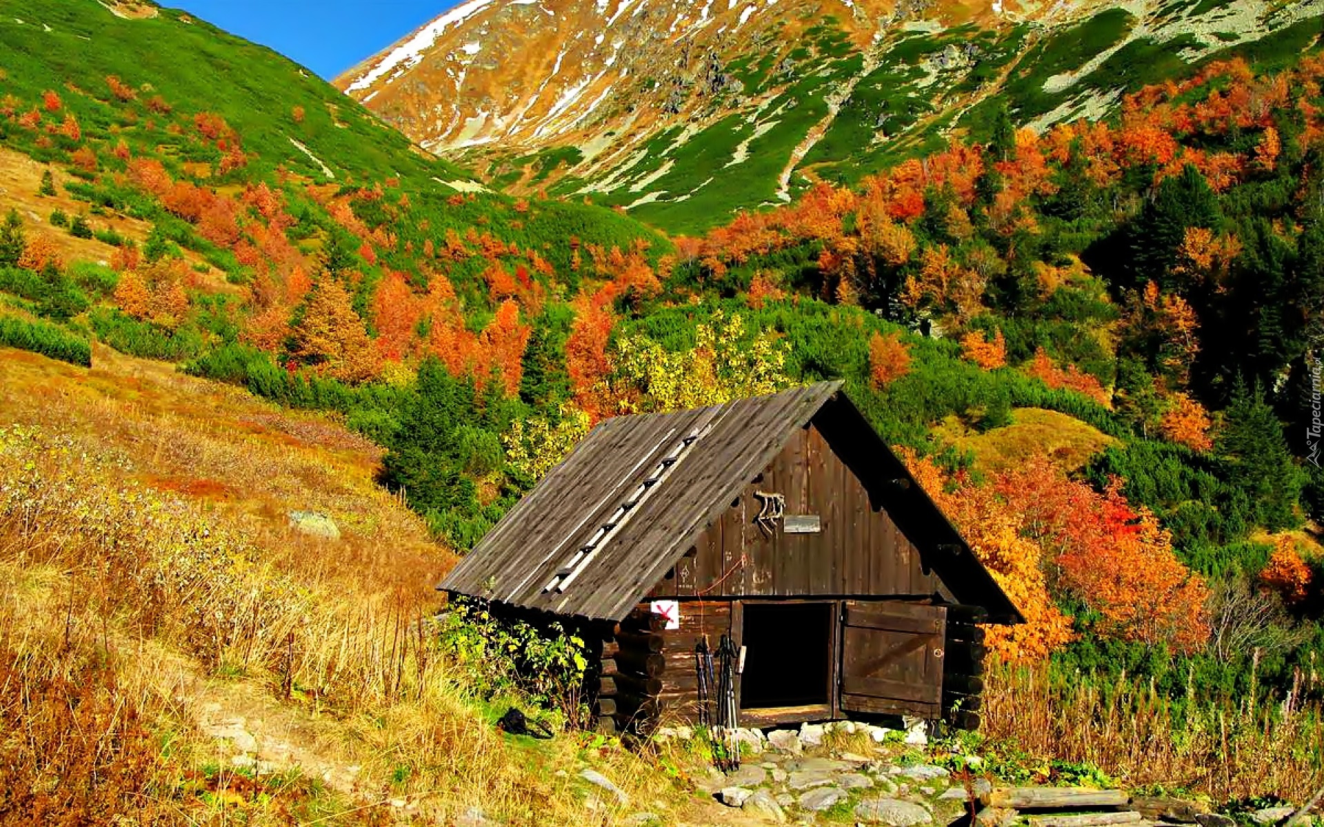 Jesień, Góry, Drewniana, Chata