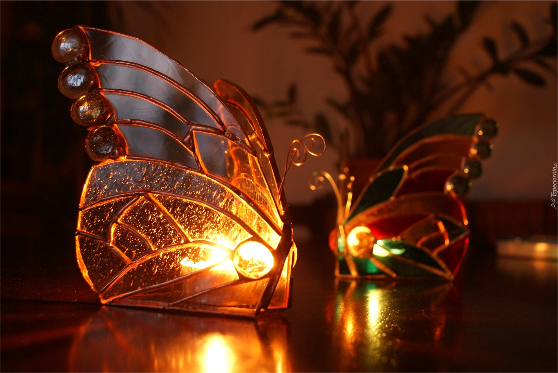 Świece, Motyle, światło, Dekoracja