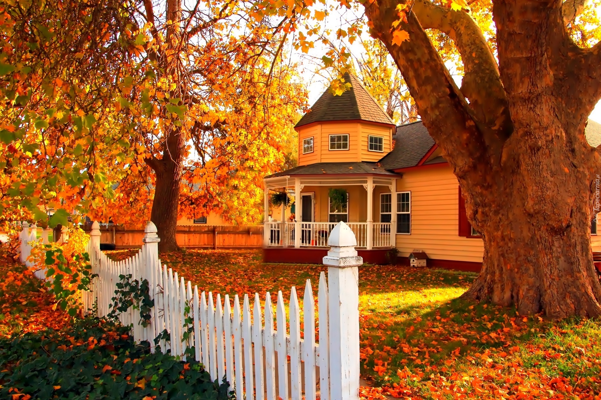 Jesień, Dom, Ogrodzenie, Drzewa, Liście