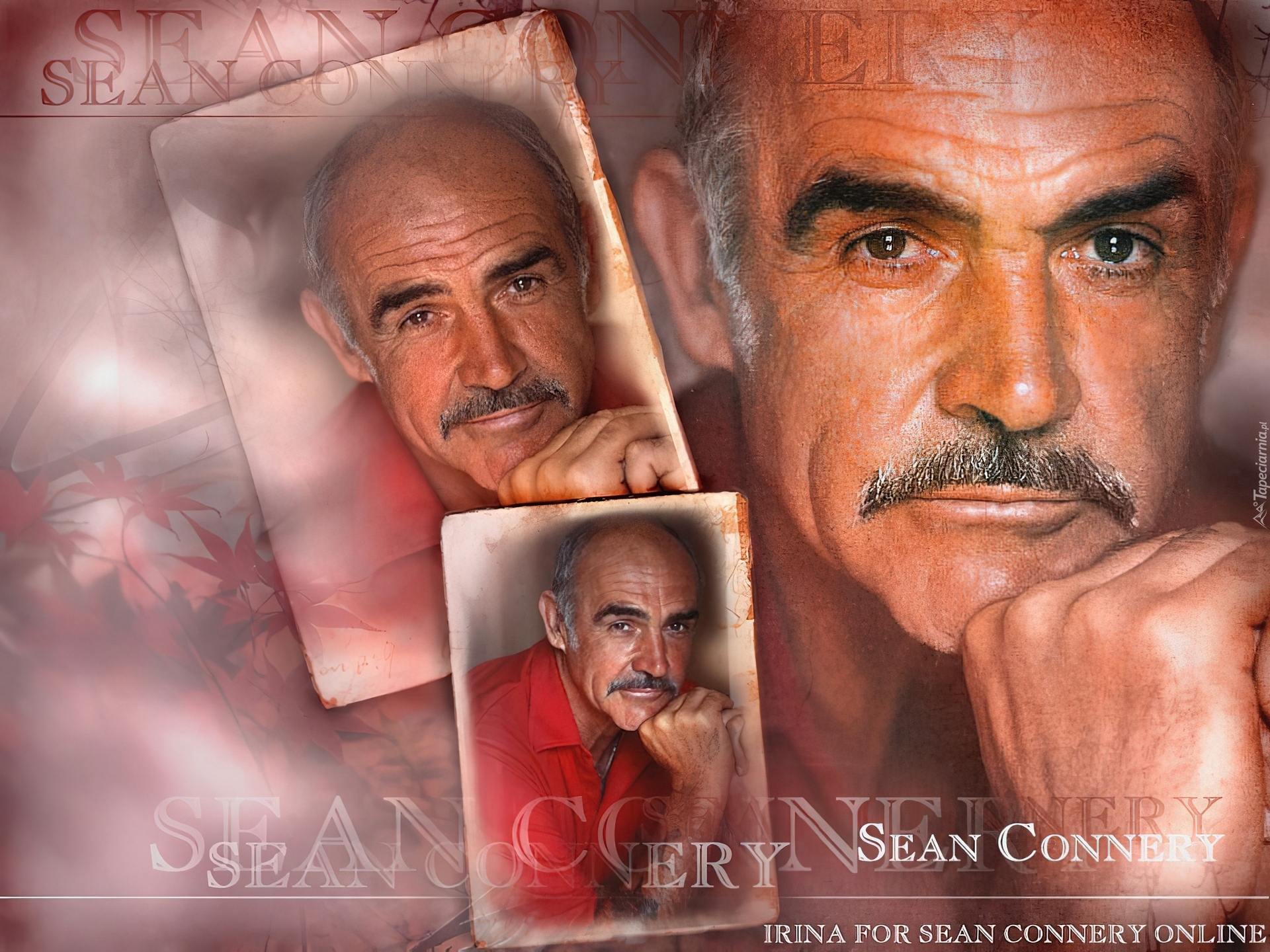 Sean Connery,siwe włosy