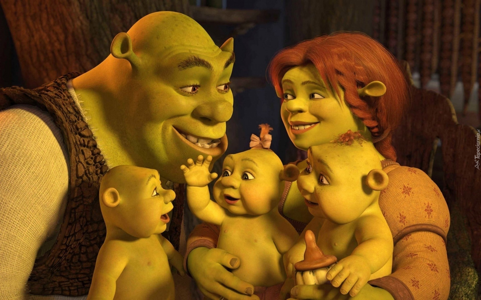Shrek, Fiona, Bajka