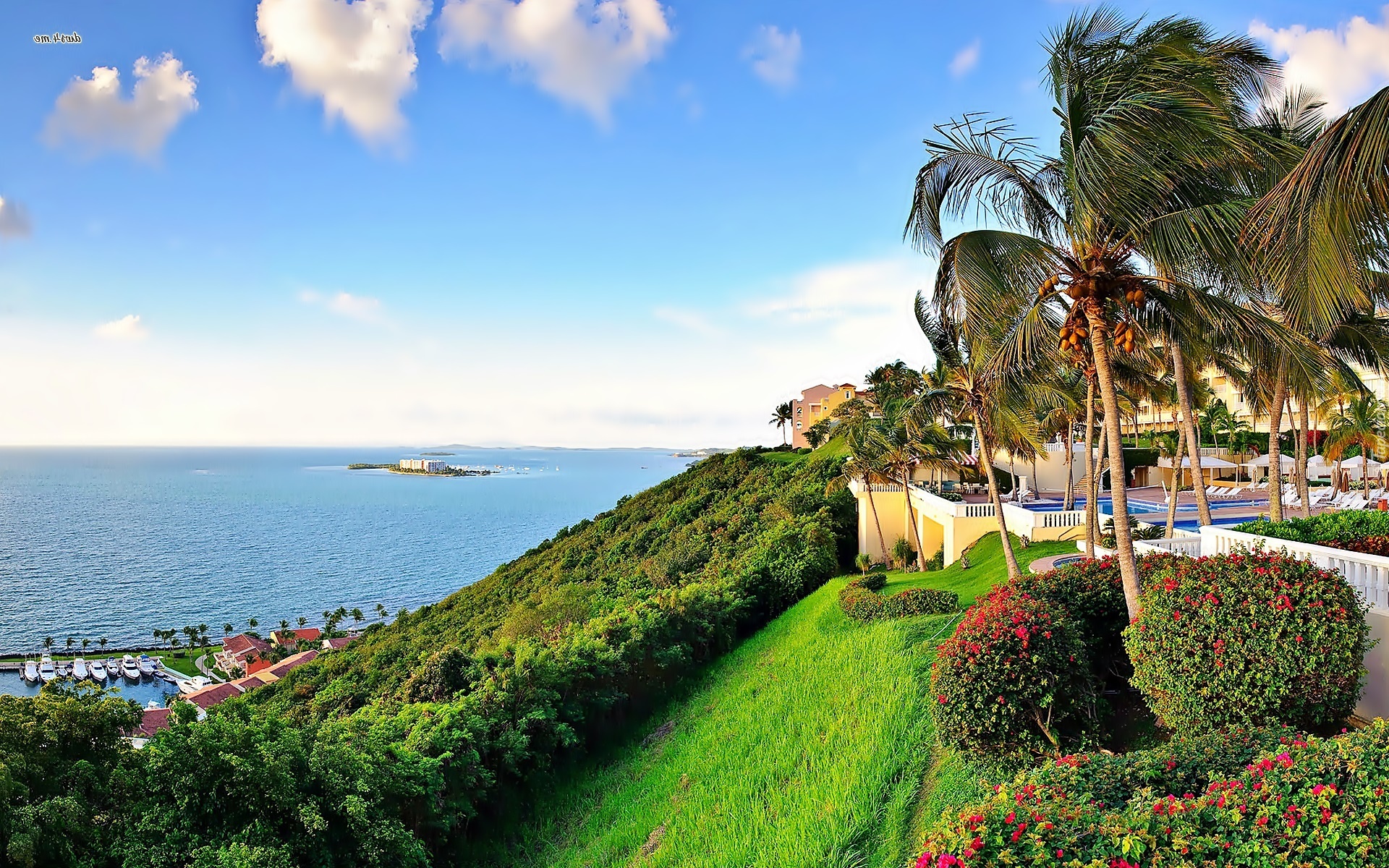 Morze, Wybrzeże, Hotel, Marina, Puerto Rico