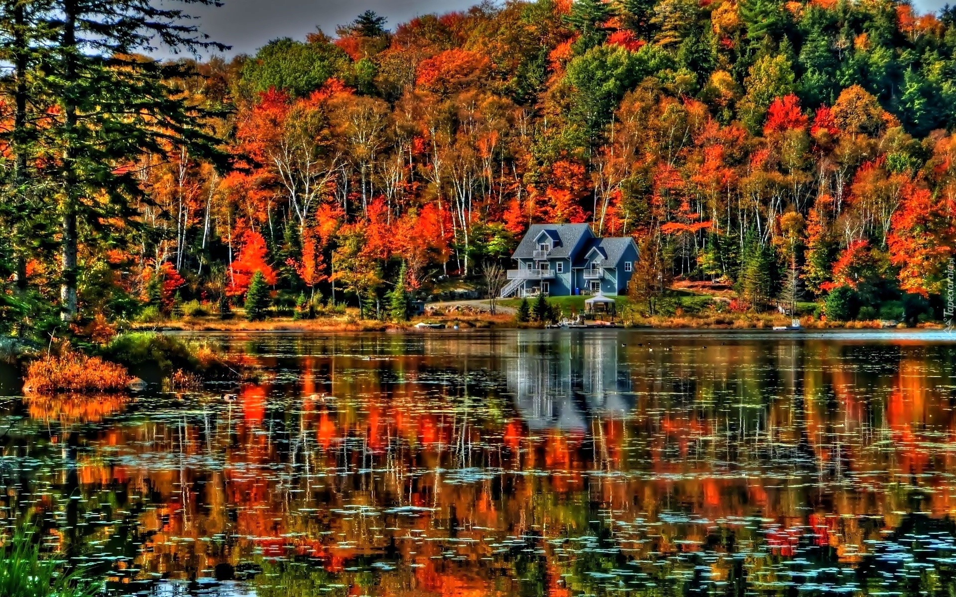 Jesień, Drzewa, Jezioro, Dom, Odbicie