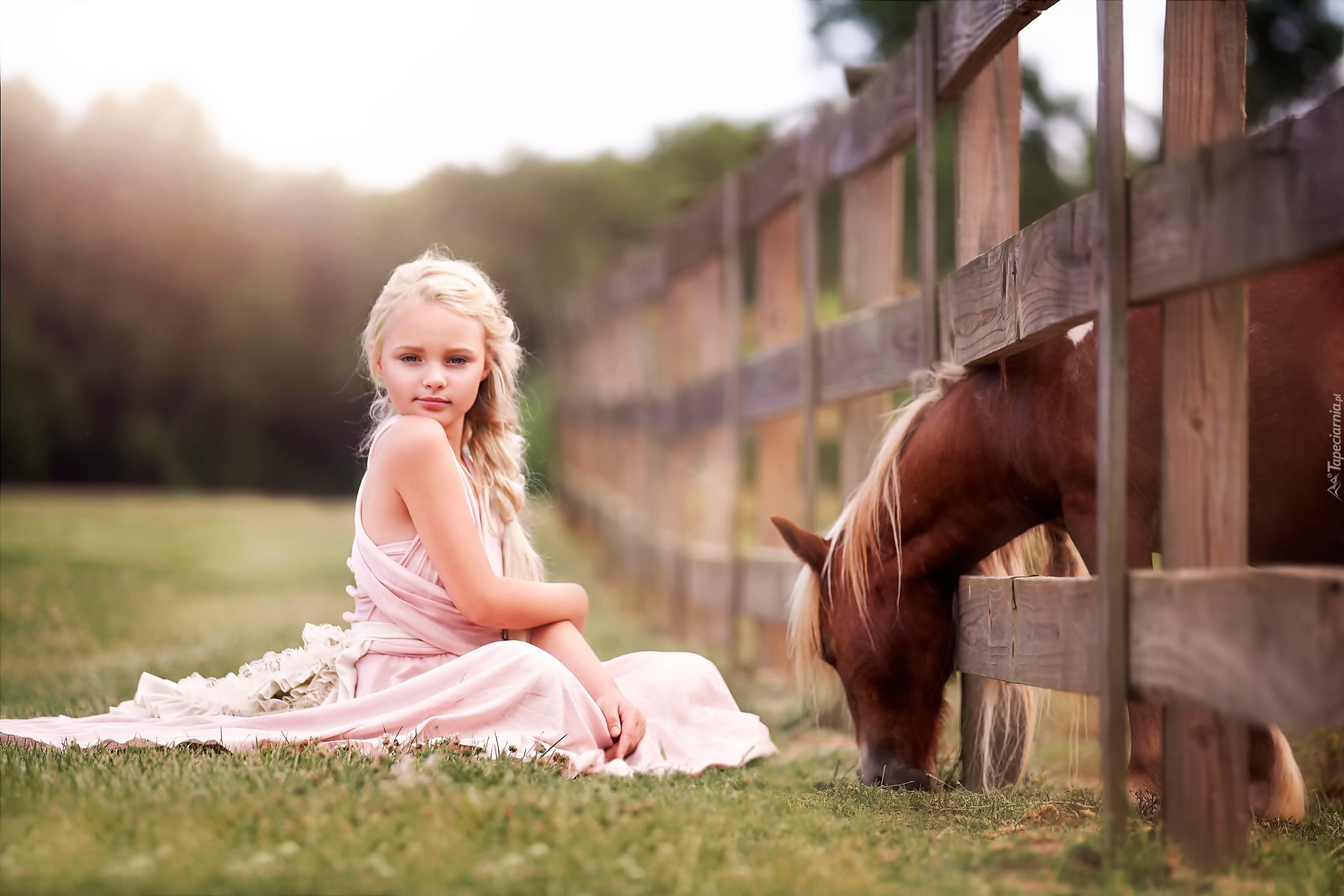 Dziewczynka, Koń, Płot, Ogrodzenie