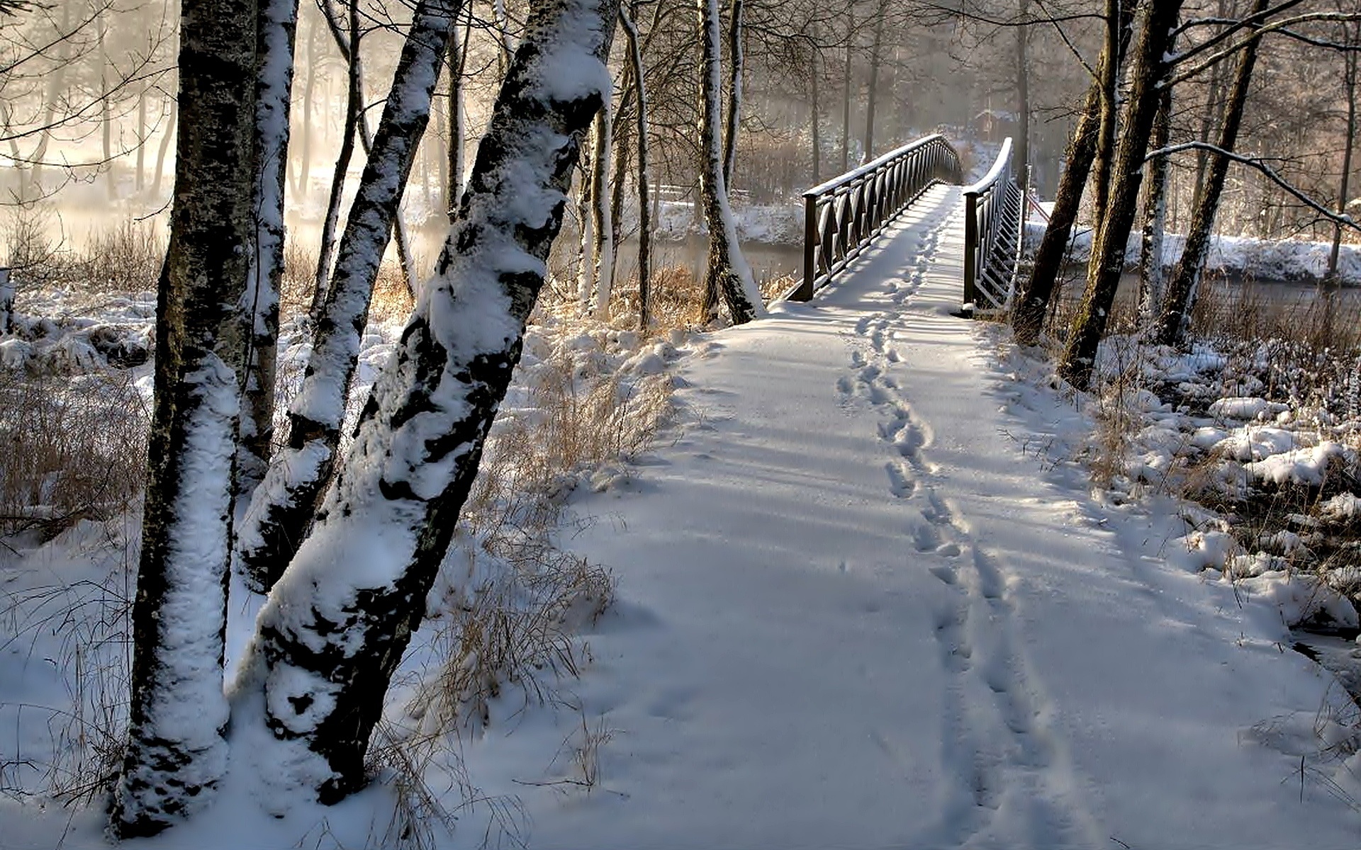 Zima, Śnieg, Park, Drzewa, Drewniany, Most, Ślady