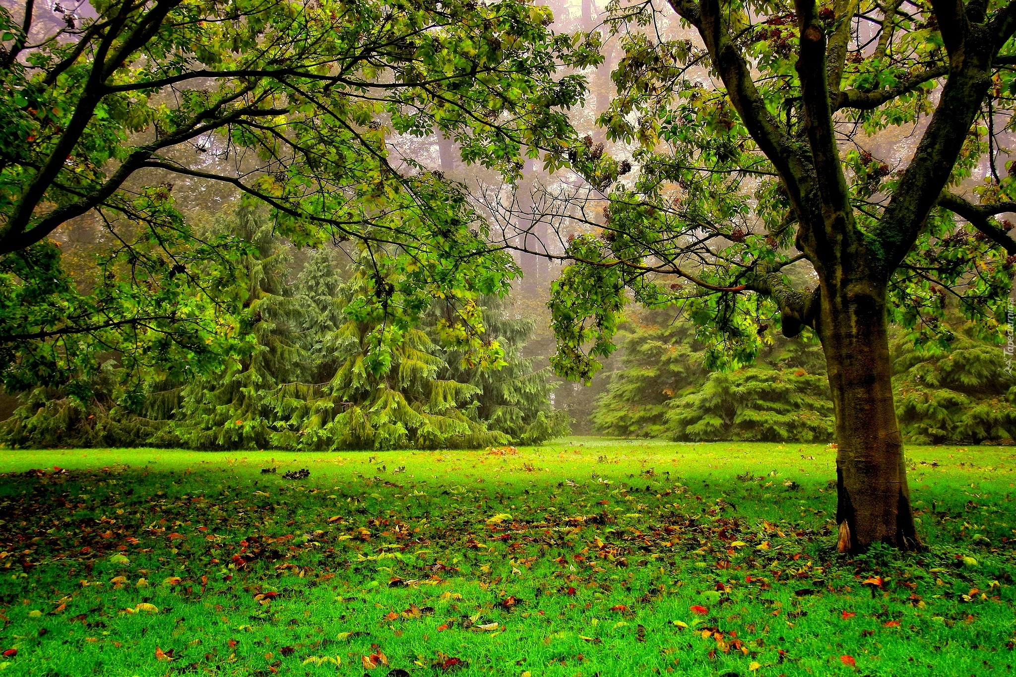 Jesień, Park