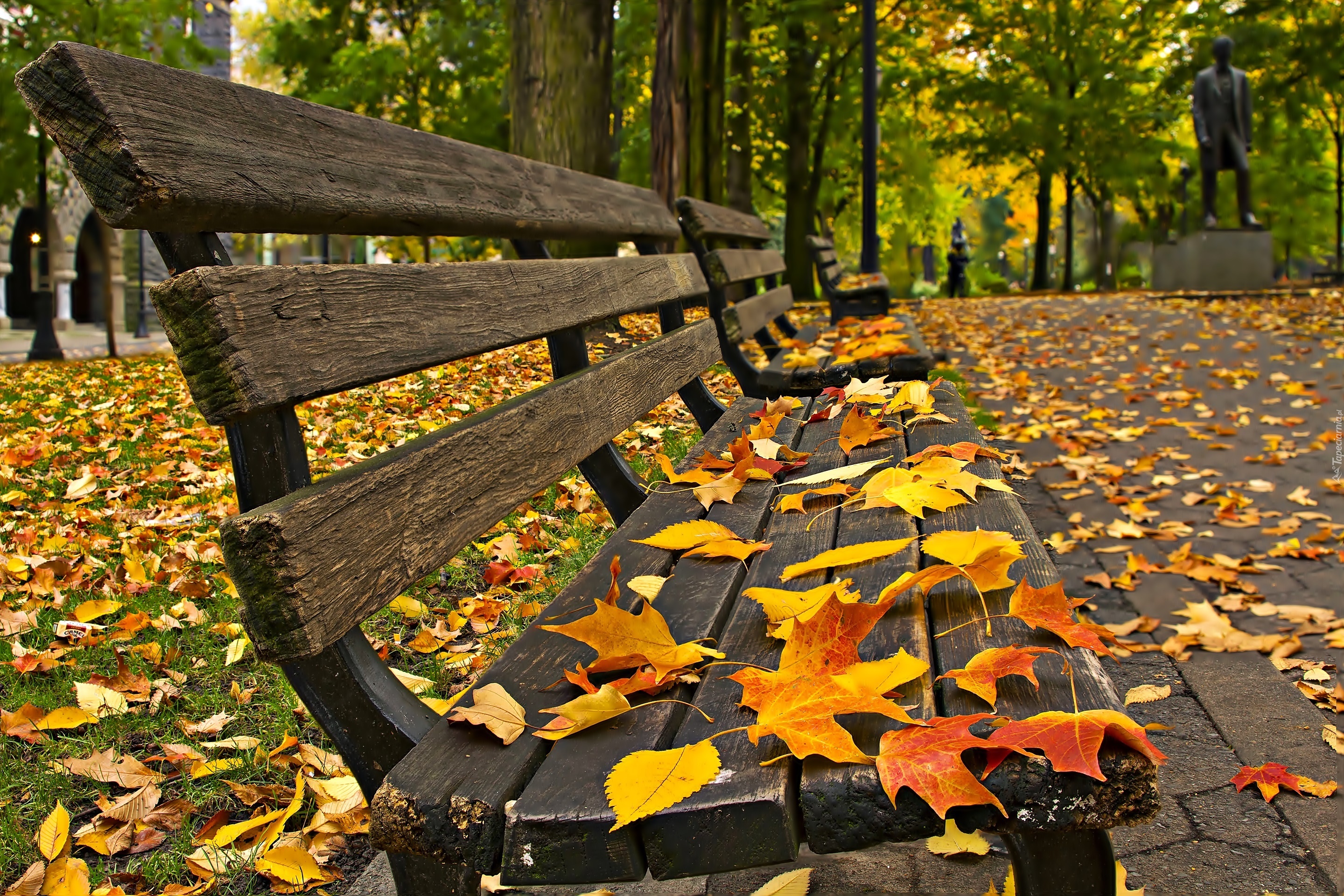 Jesień, Park, Ławeczki, Opadłe, Liście