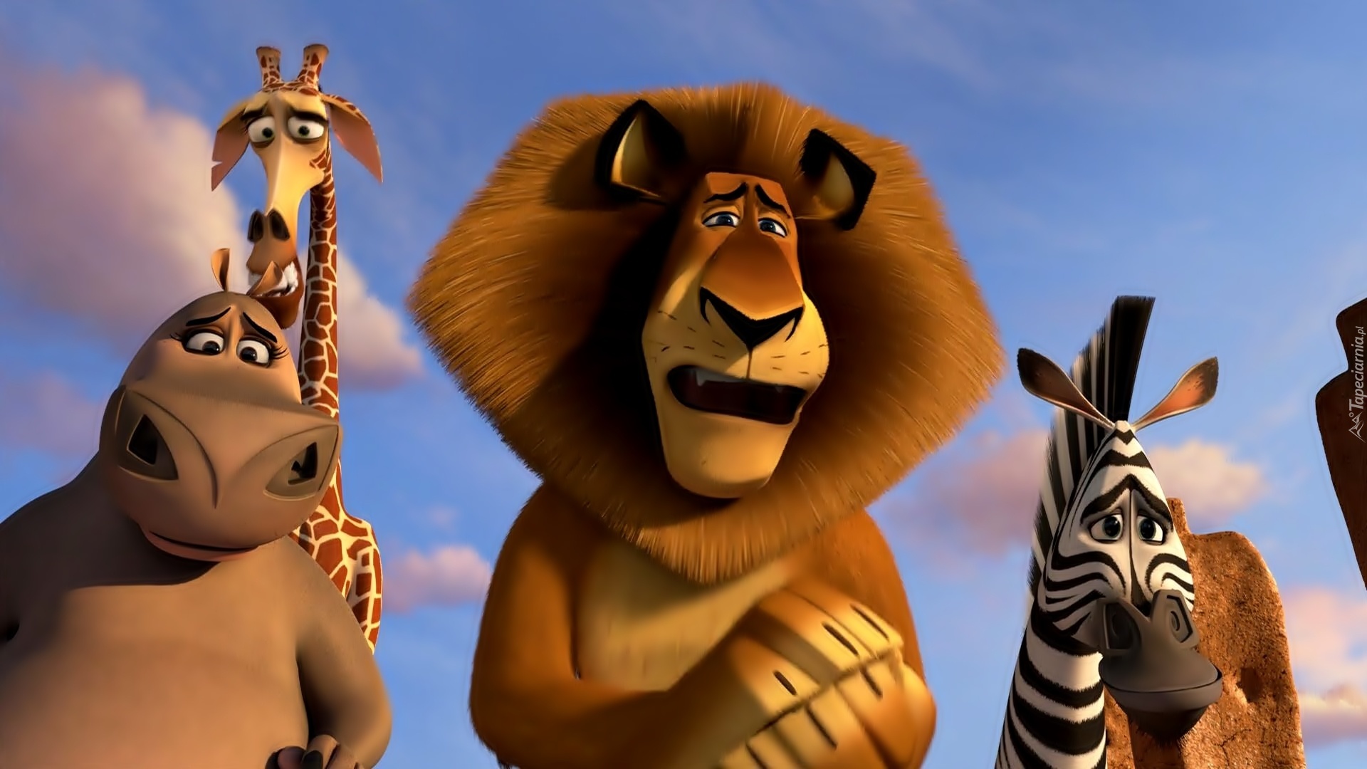 Madagaskar 3