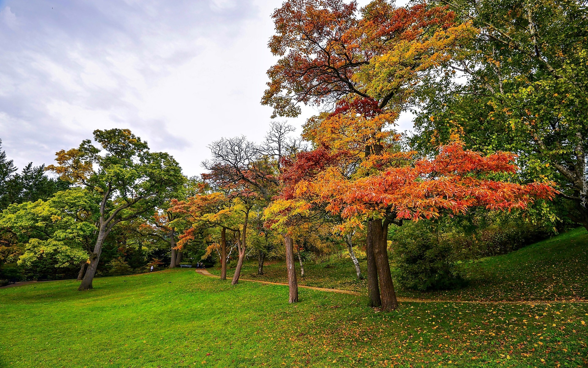 Jesień, Park