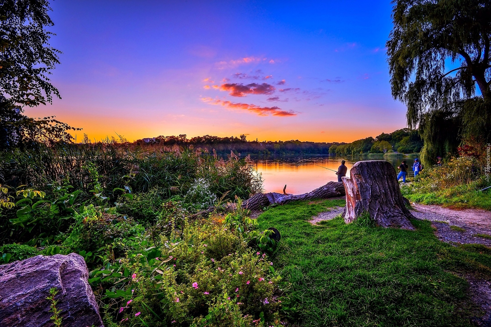 Jezioro, Przyroda, Wędkarze