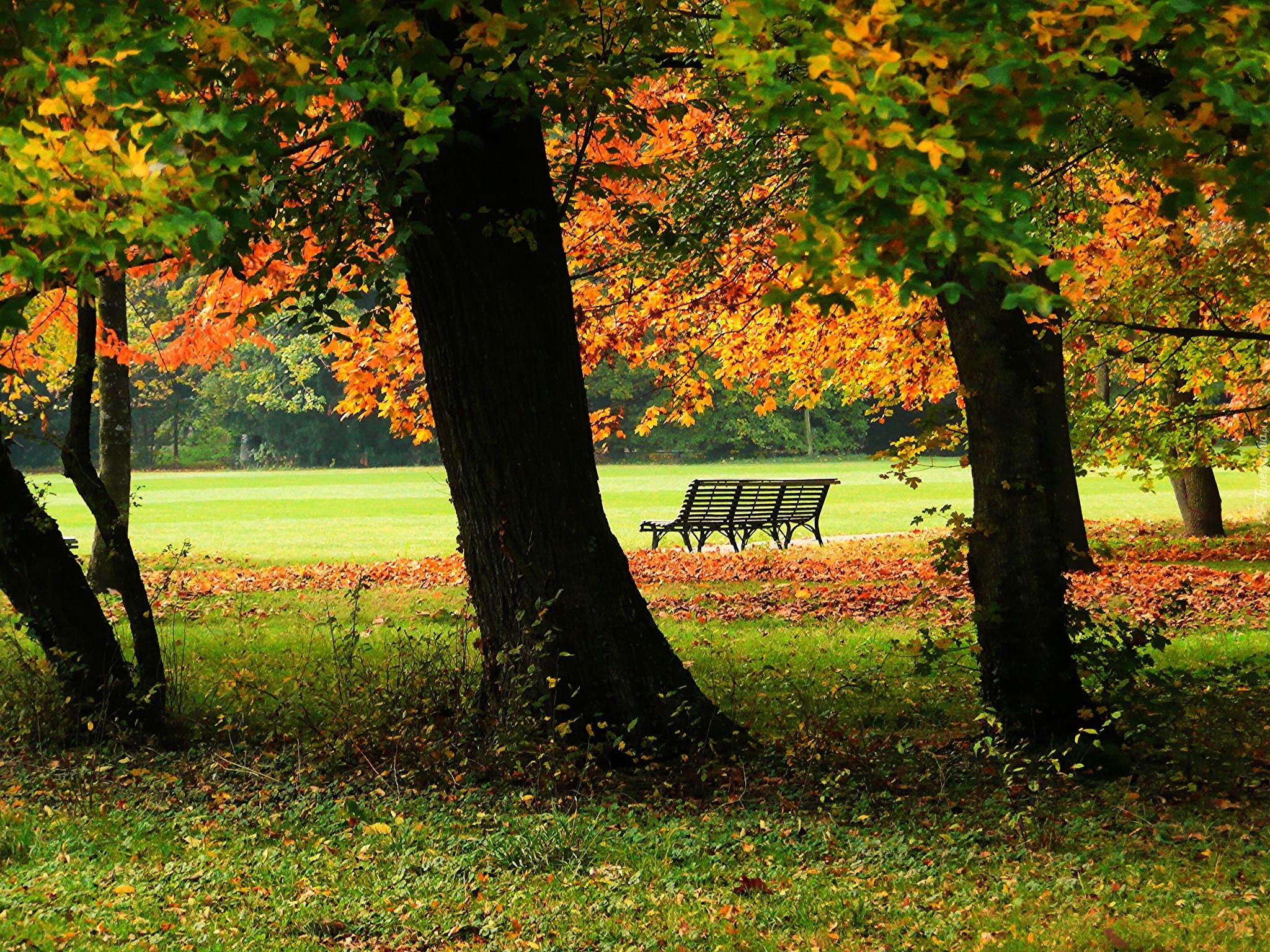 Jesień, Park, Ławka