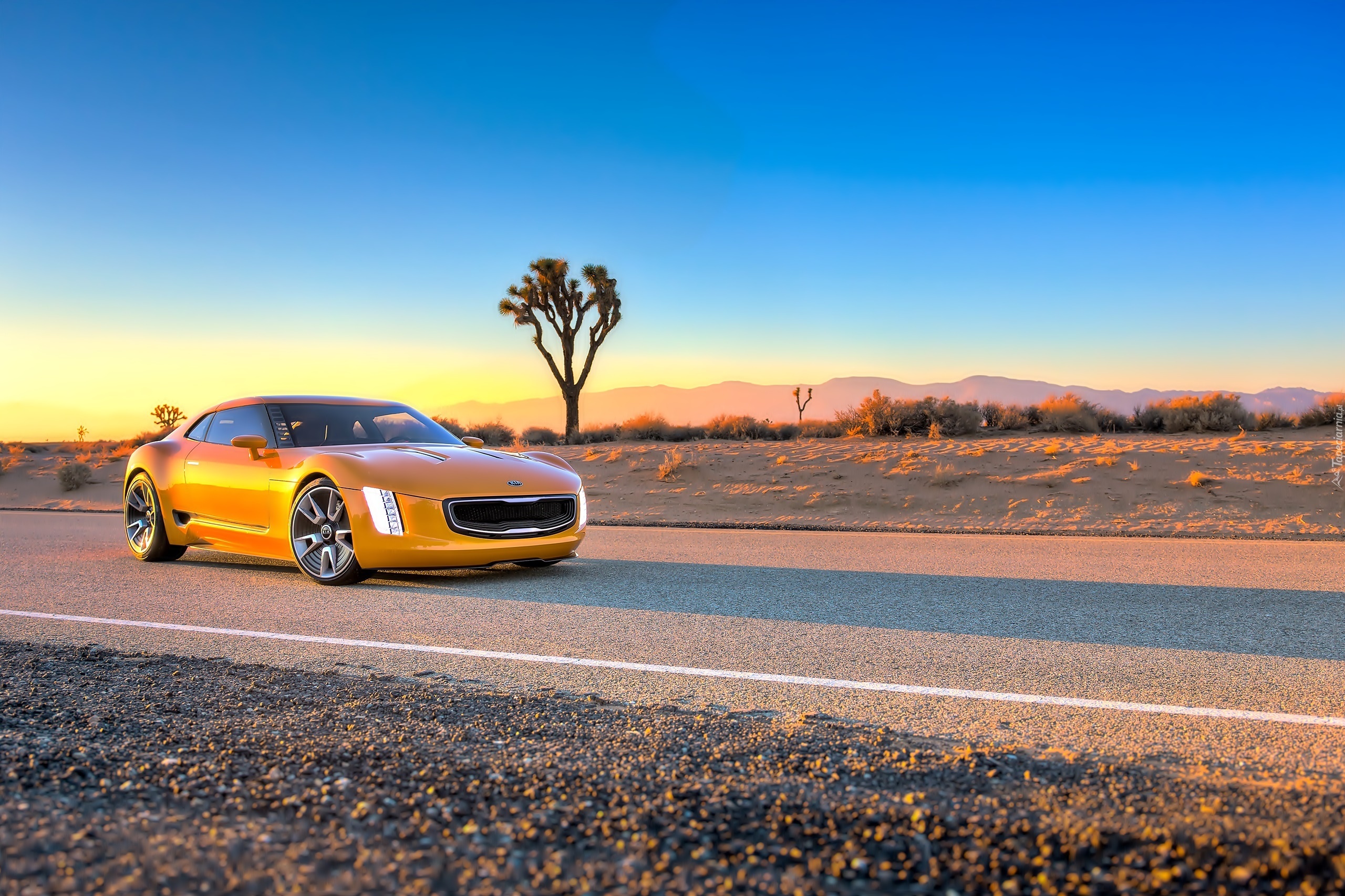 Kia, GT4 Stinger, Żółty