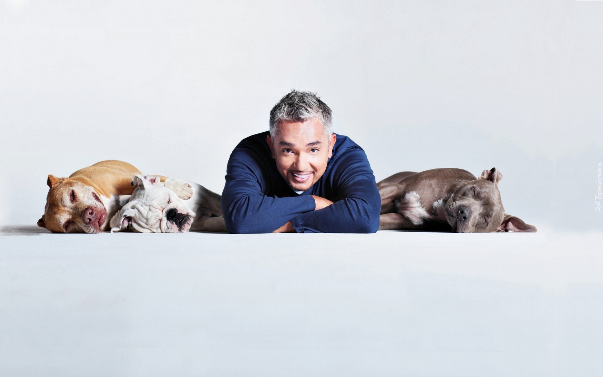 Cesar Millan, Psy