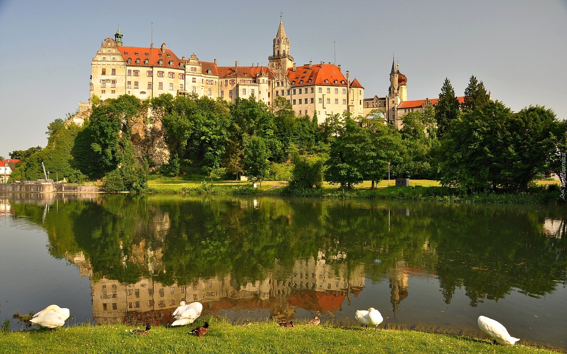 Niemcy, Zamek, Sigmaringen, Jezioro, Łabędzie