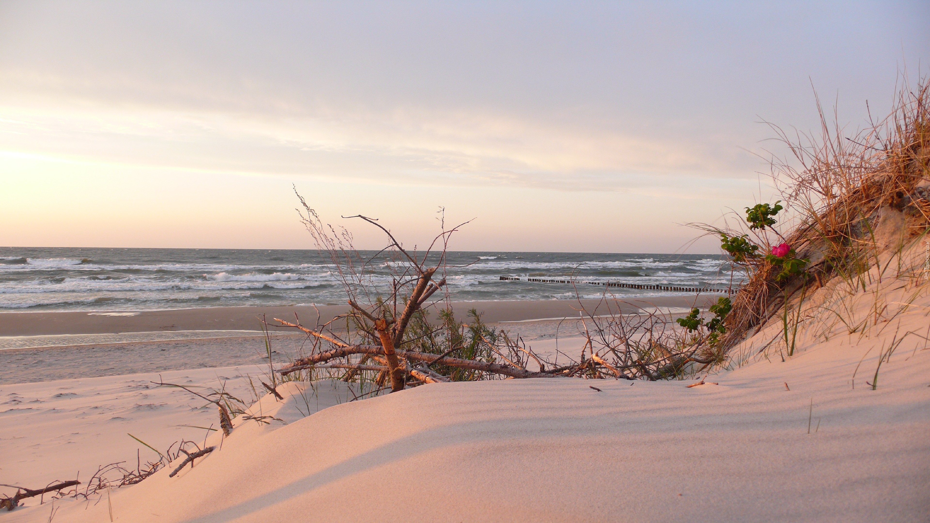 Morze Bałtyckie, Polska, Plaża, Niebo