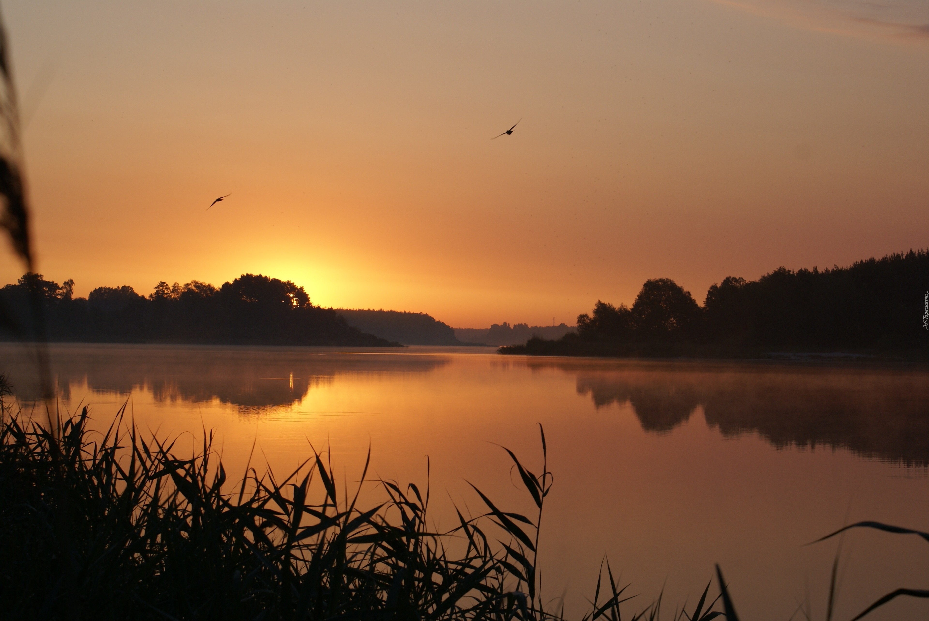 Jezioro, Wschód słońca, Świt