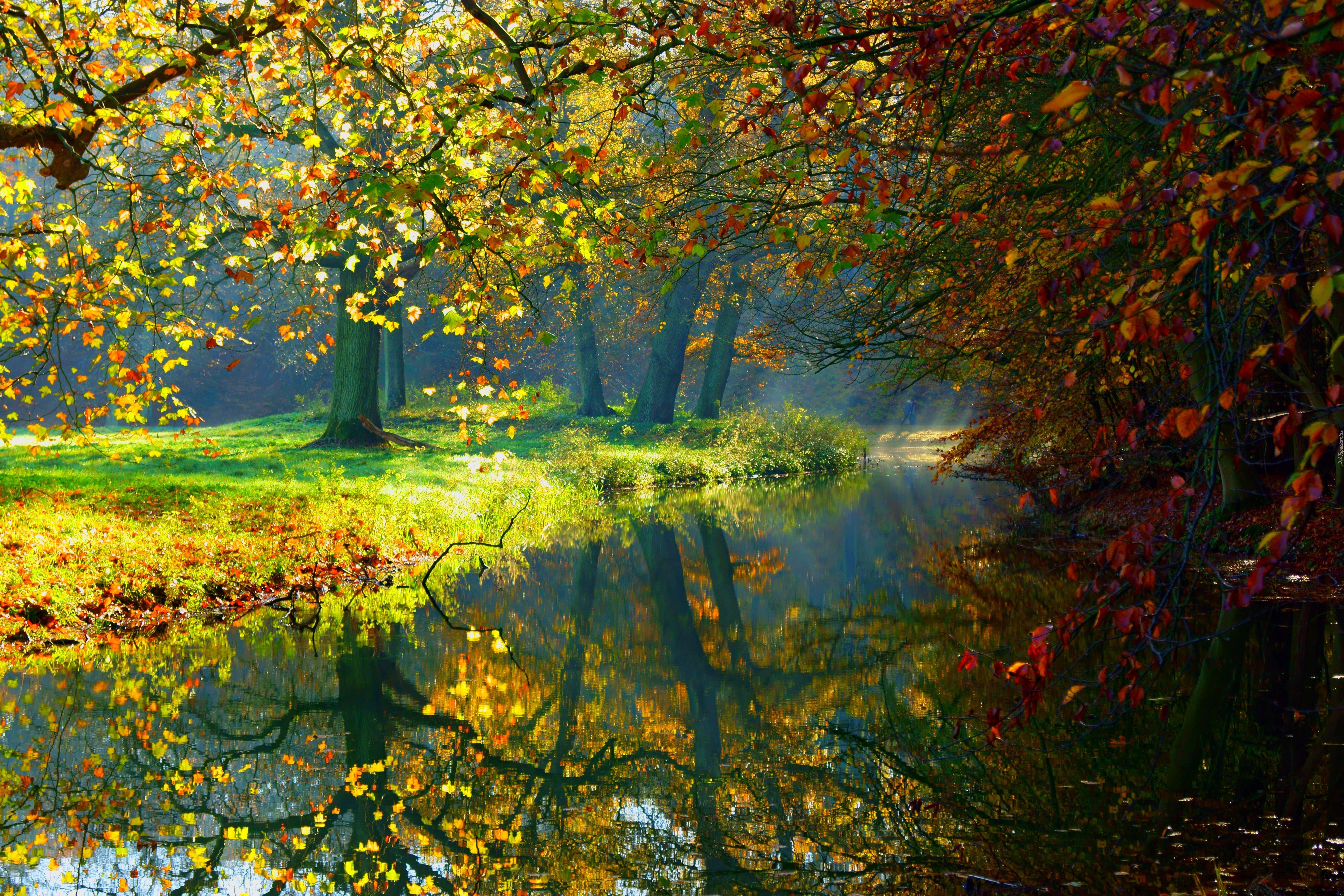 Jesień, Rzeka, Park